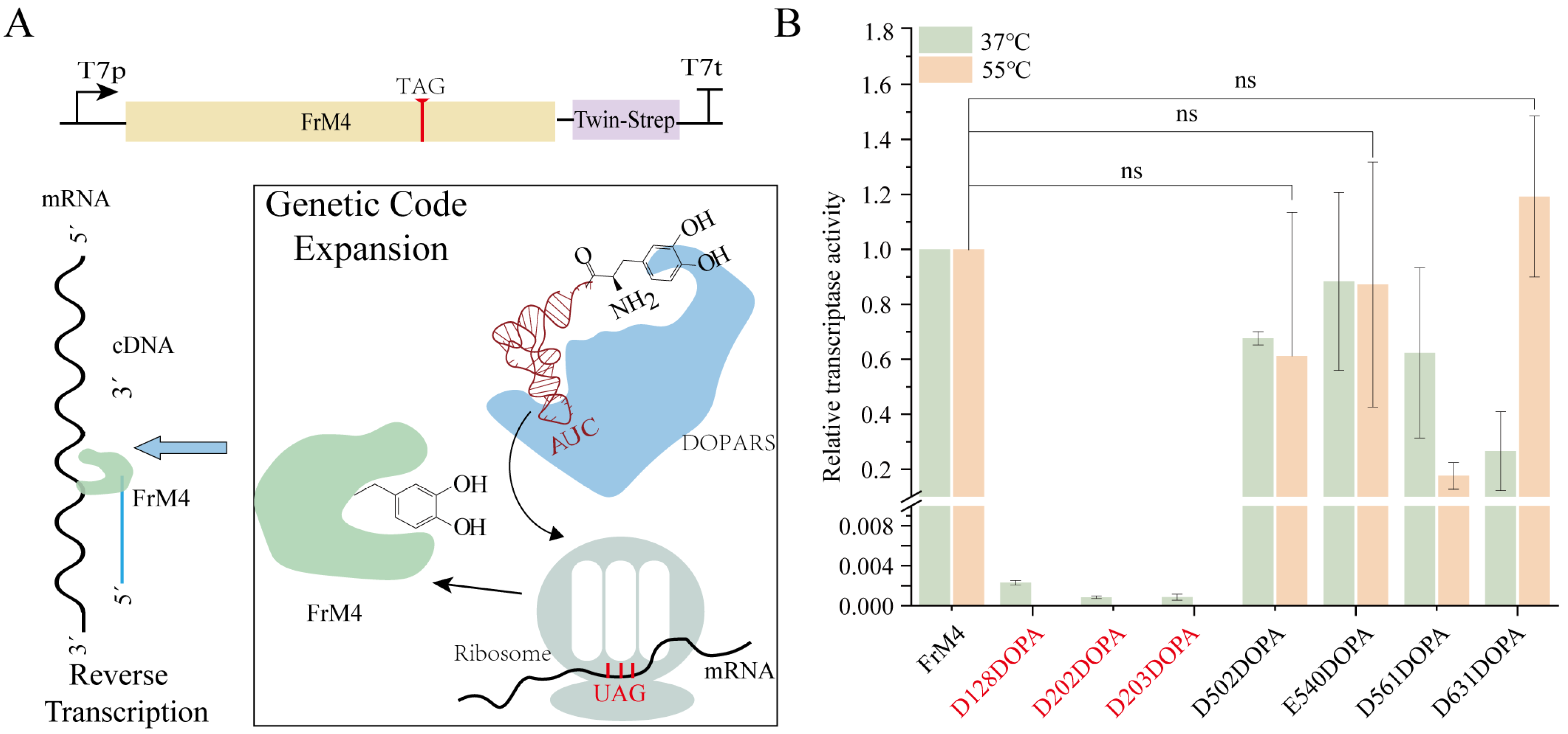Biomolecules 15 00382 g004