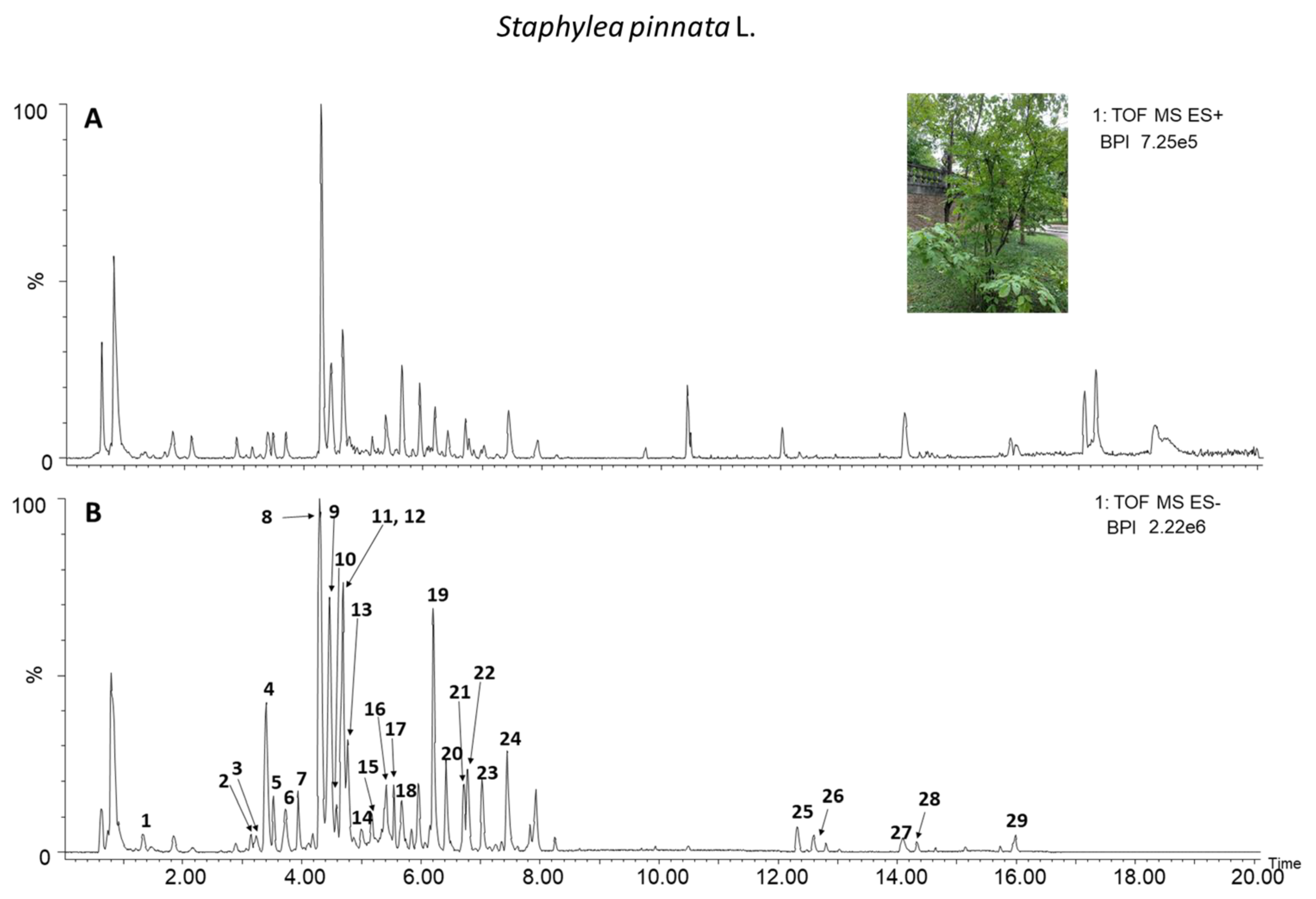 Biomolecules 15 00385 g001