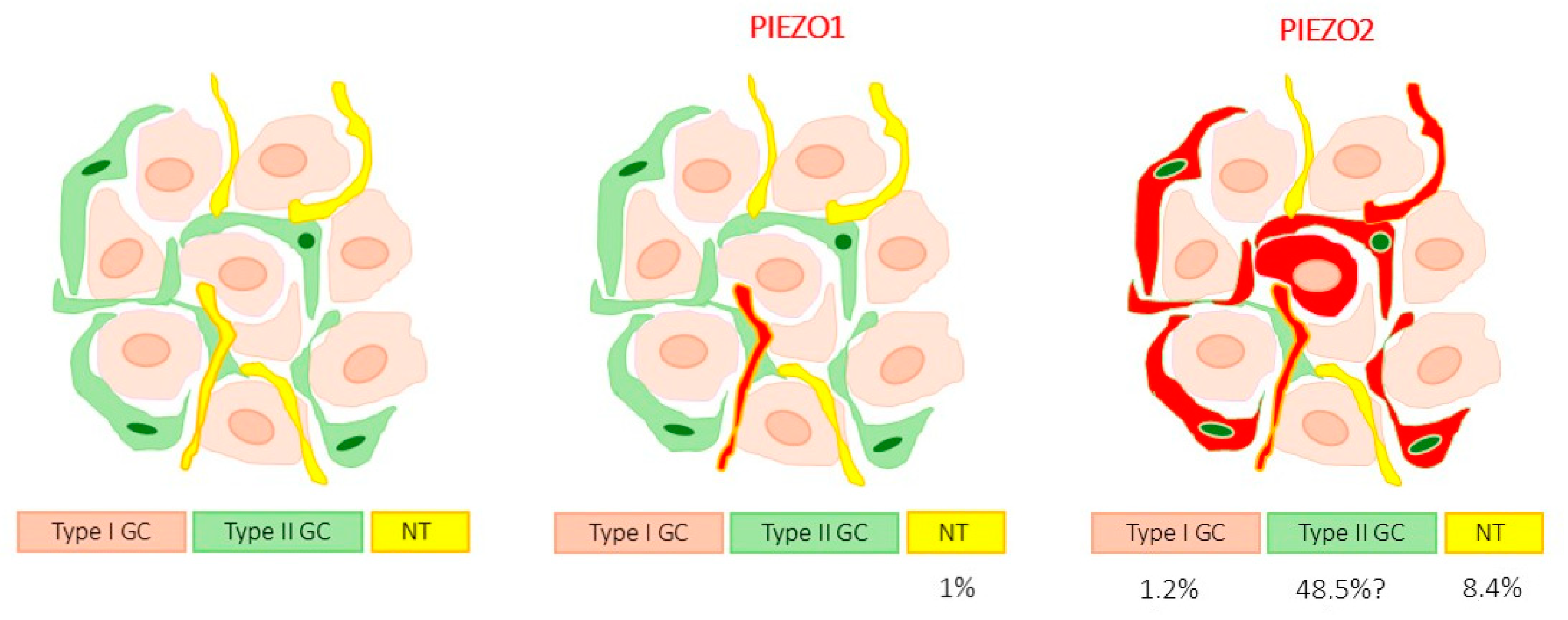 Biomolecules 15 00386 sch001
