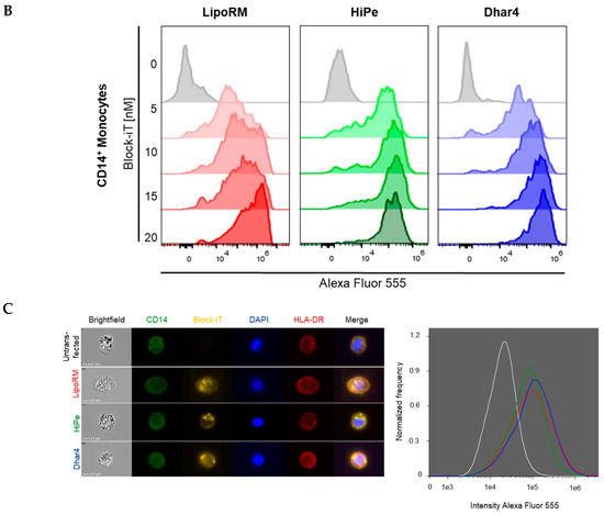 State-of-the-art review on liposomes as versatile cancer