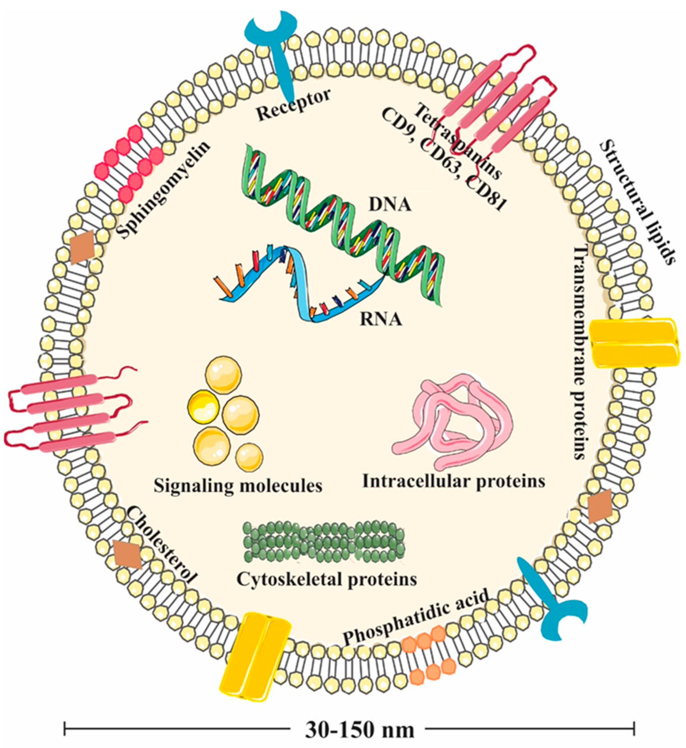 Biomolecules 15 00394 g001