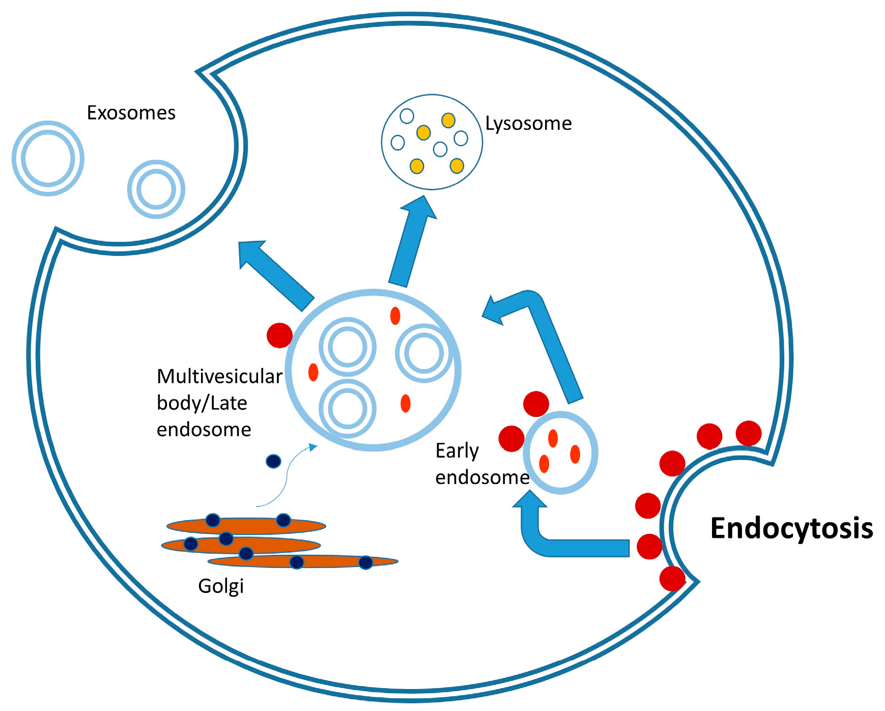 Biomolecules 15 00394 g002