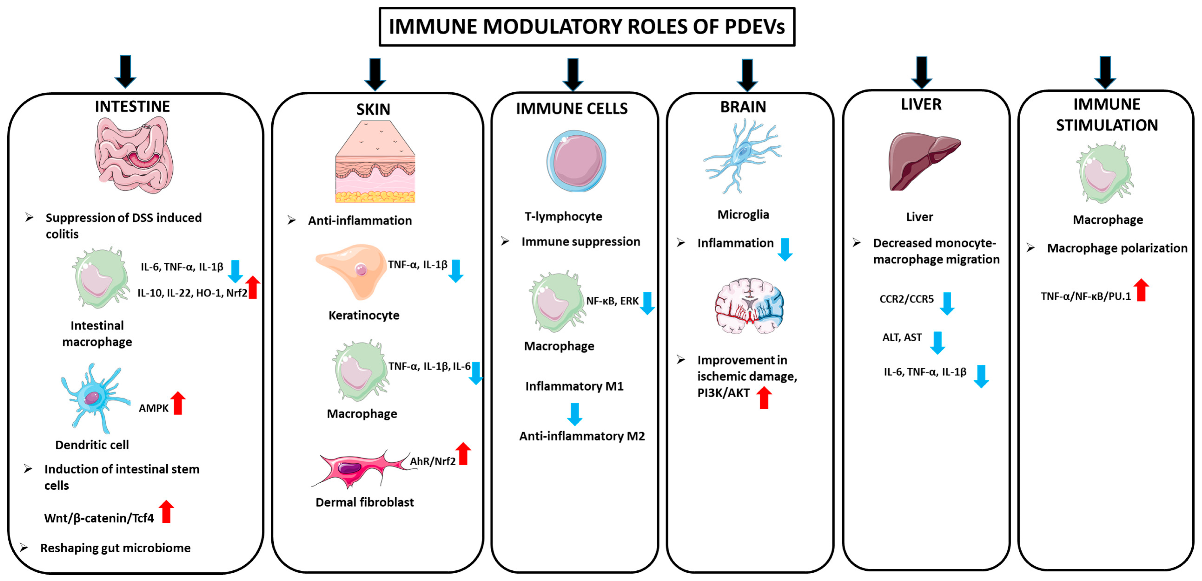 Biomolecules 15 00394 g003