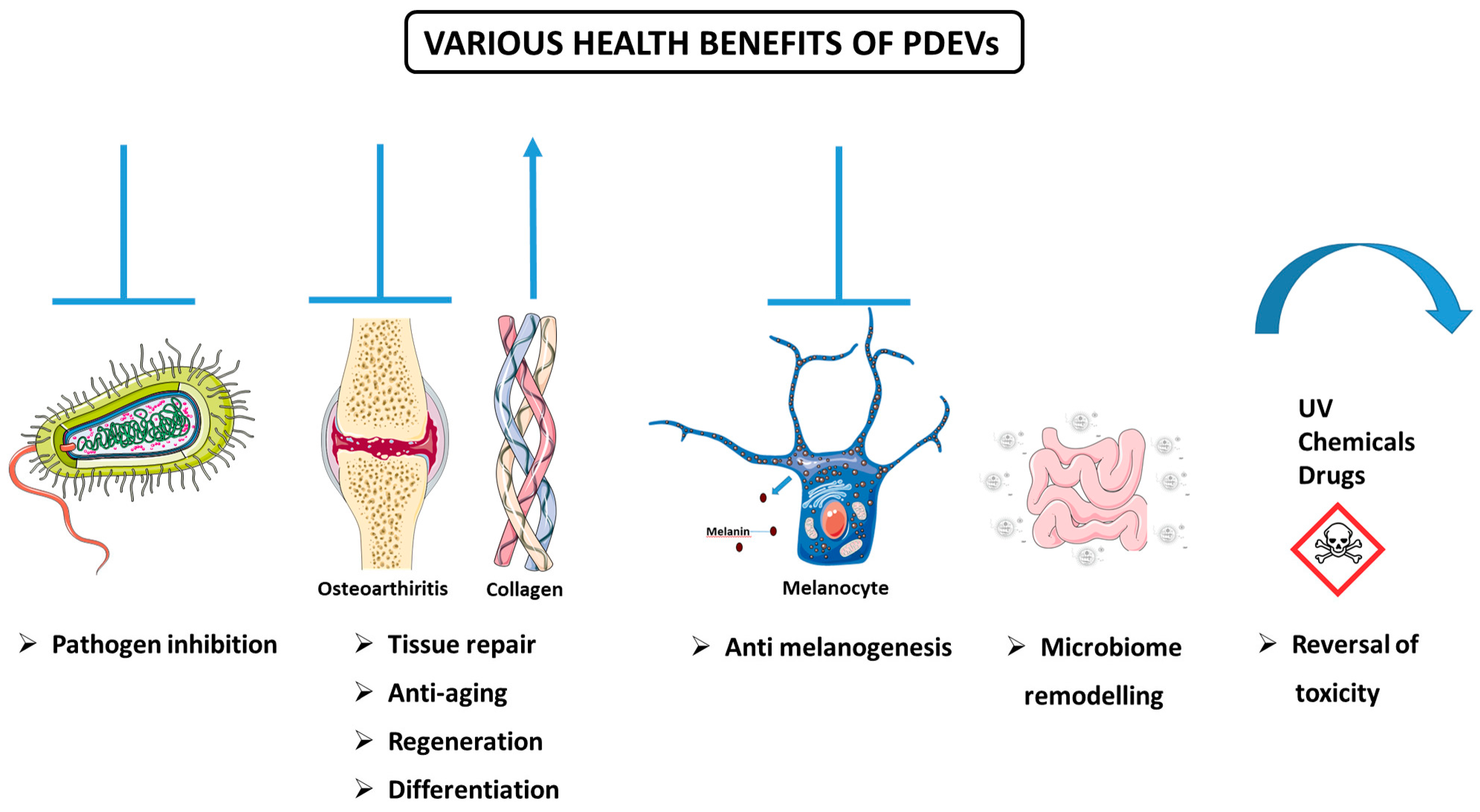 Biomolecules 15 00394 g005