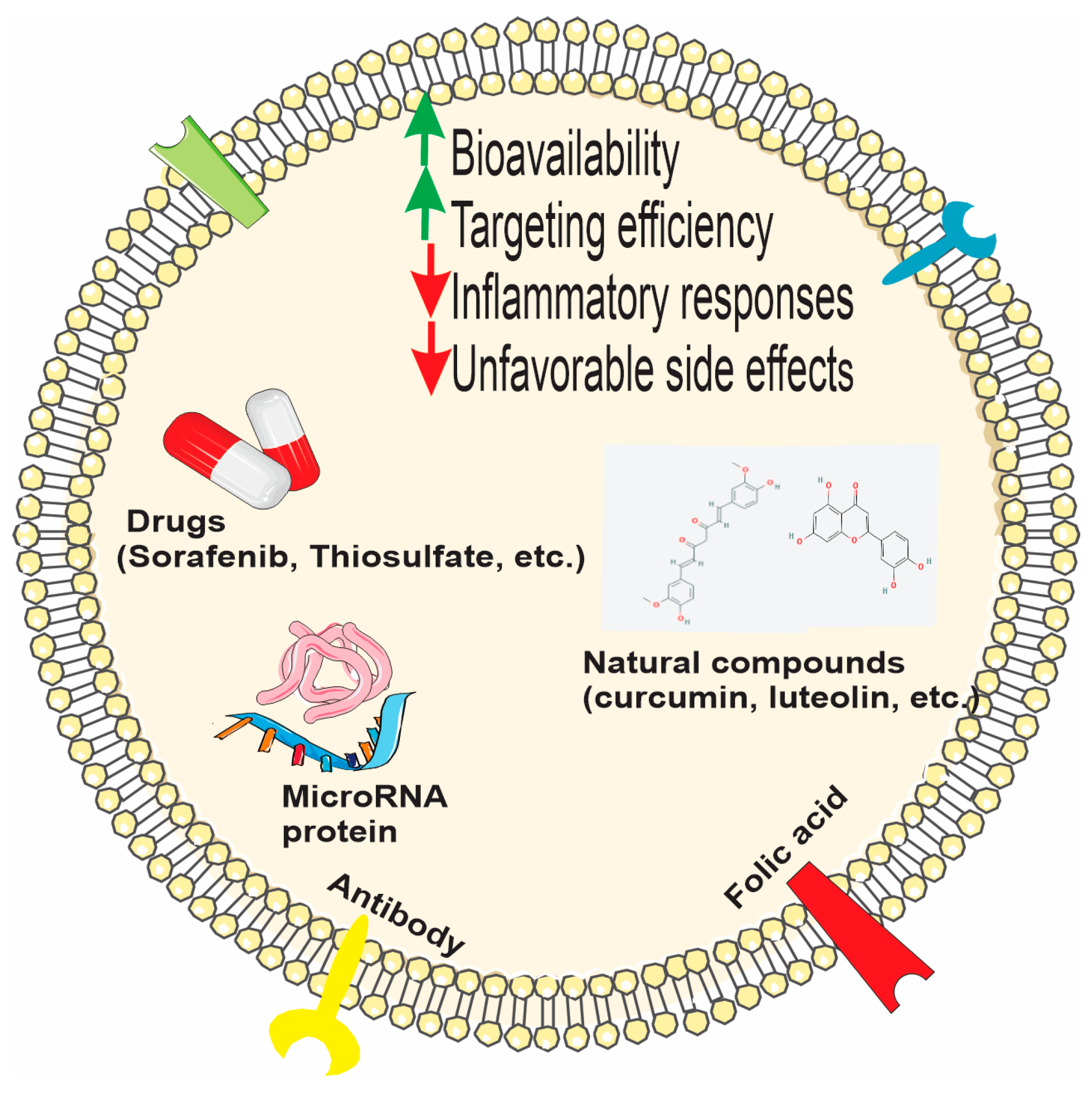 Biomolecules 15 00394 g006