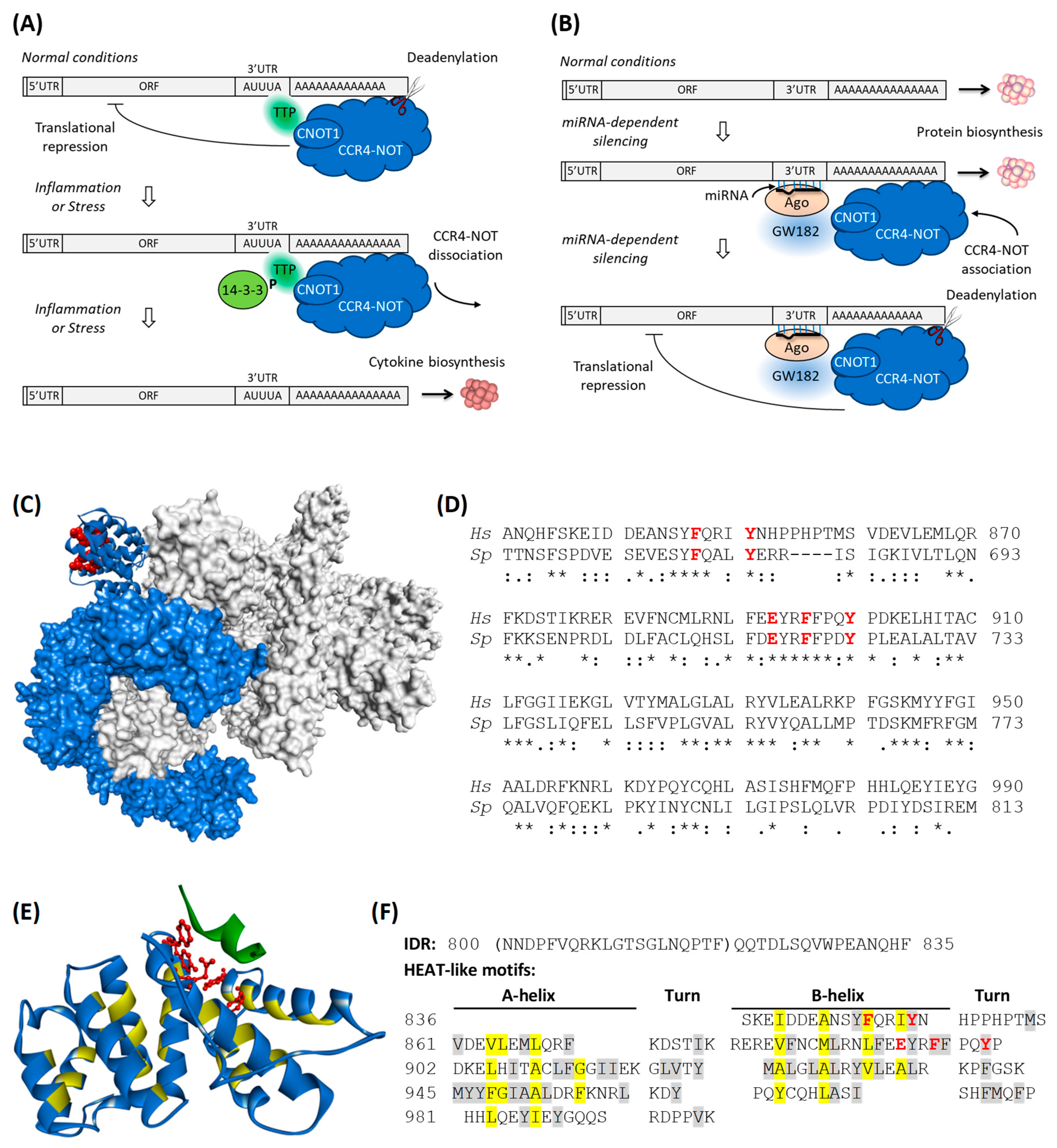 Biomolecules 15 00403 g001