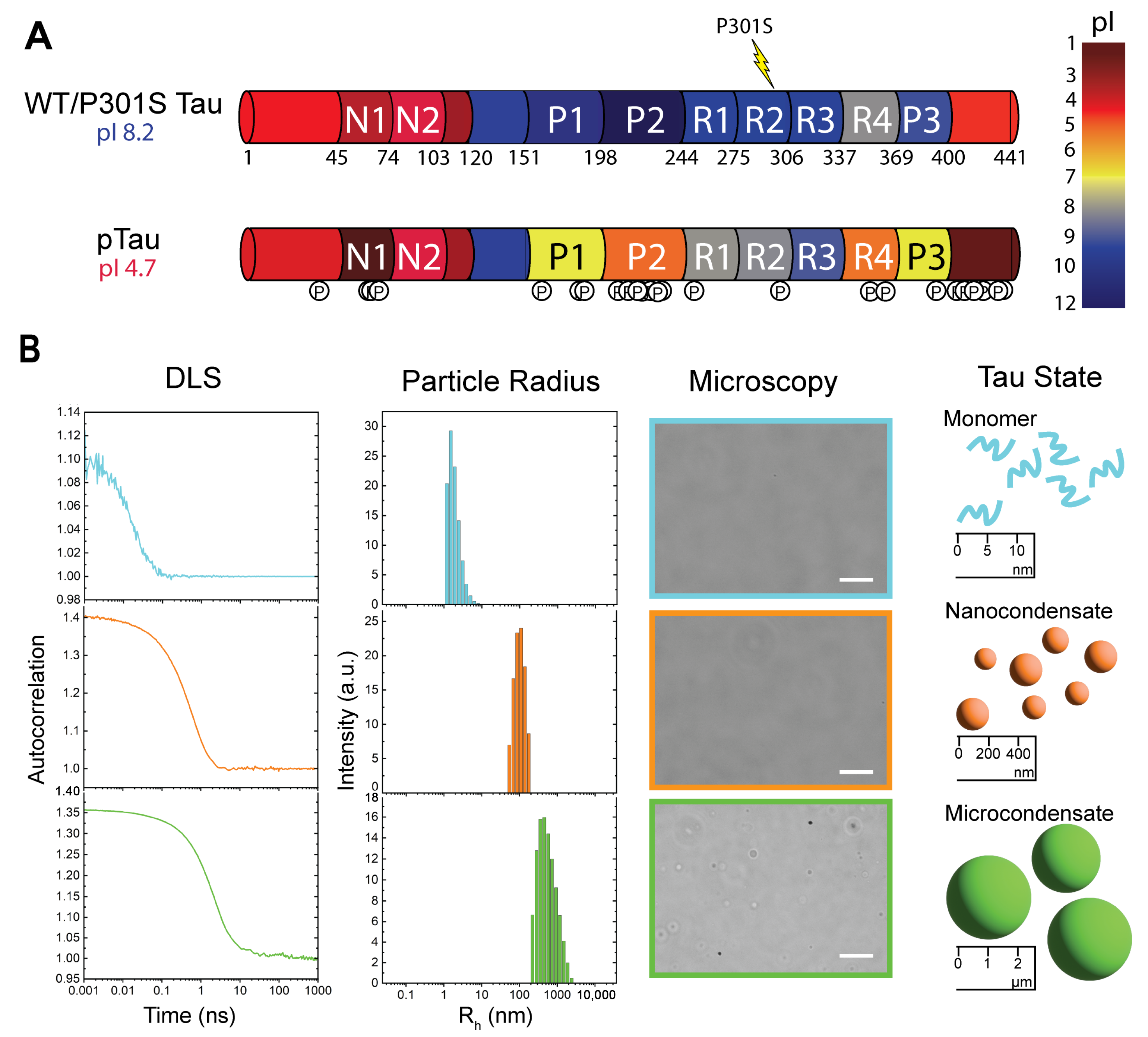 Biomolecules 15 00406 g001