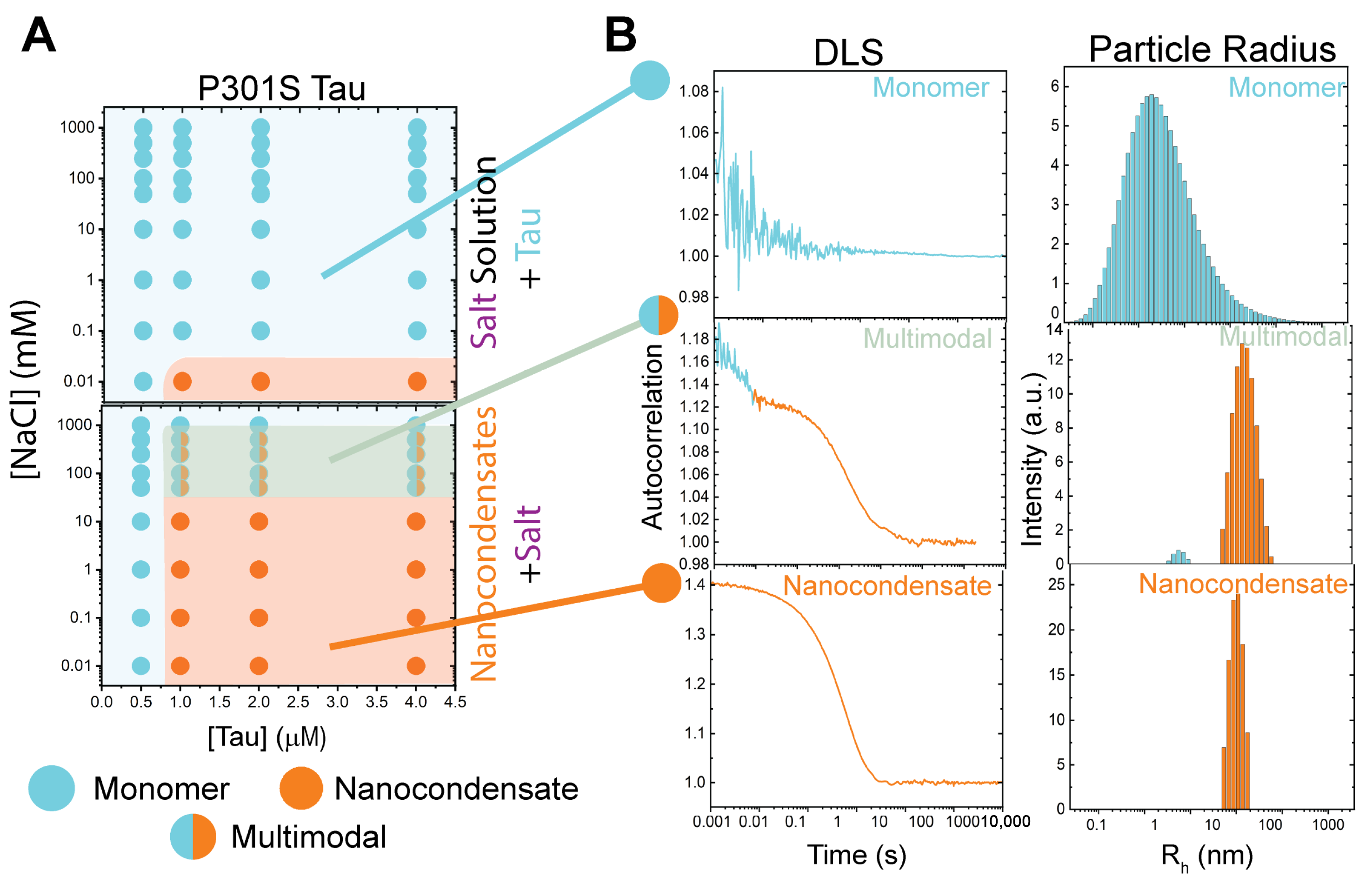 Biomolecules 15 00406 g004