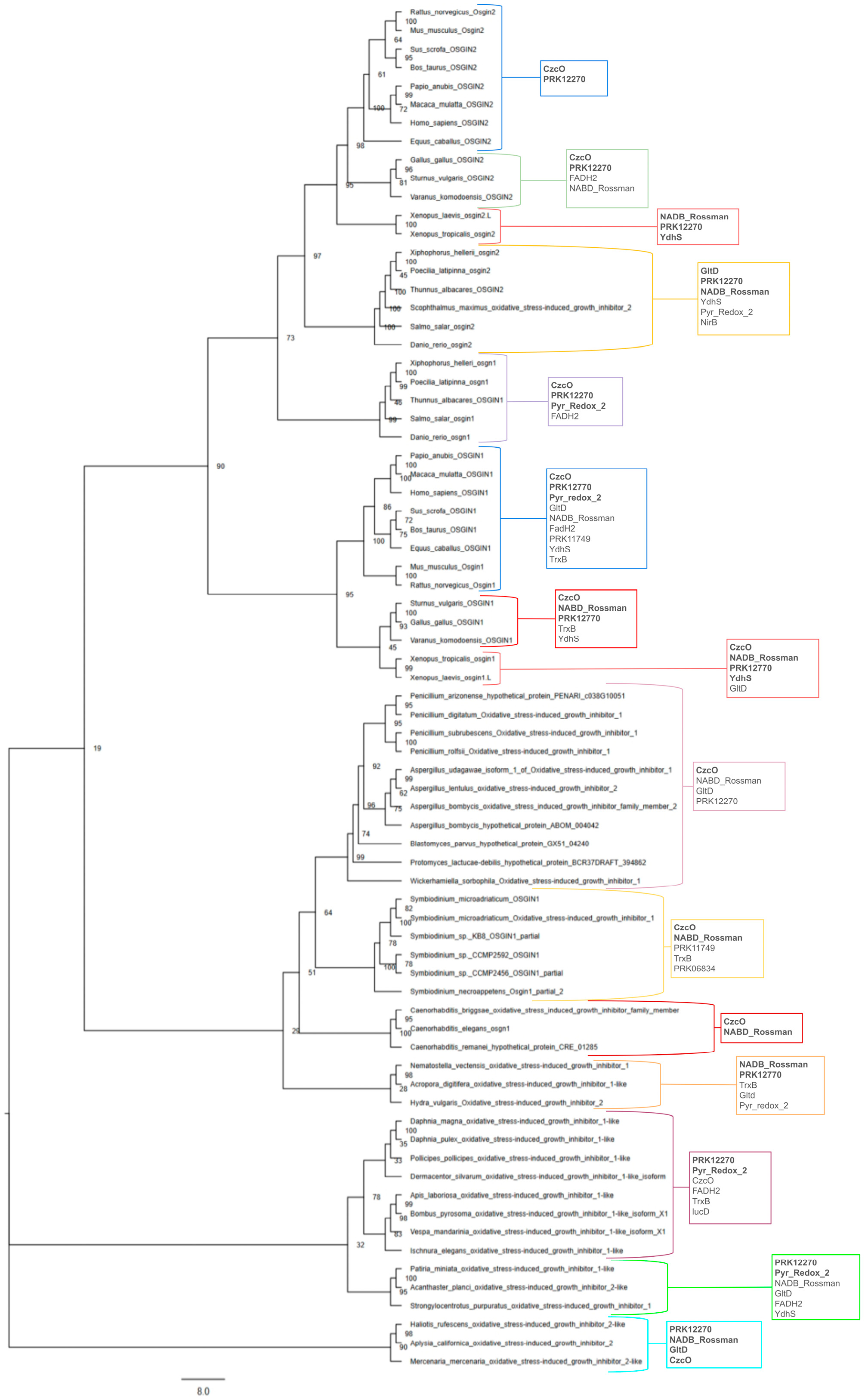 Biomolecules 15 00409 g001