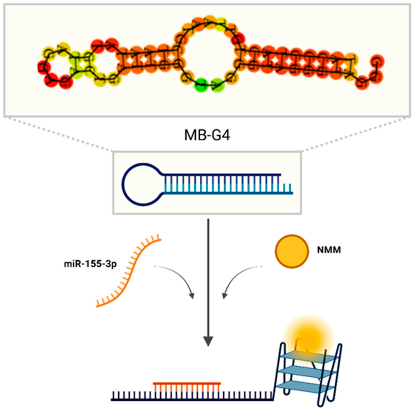 Biomolecules 15 00410 g001