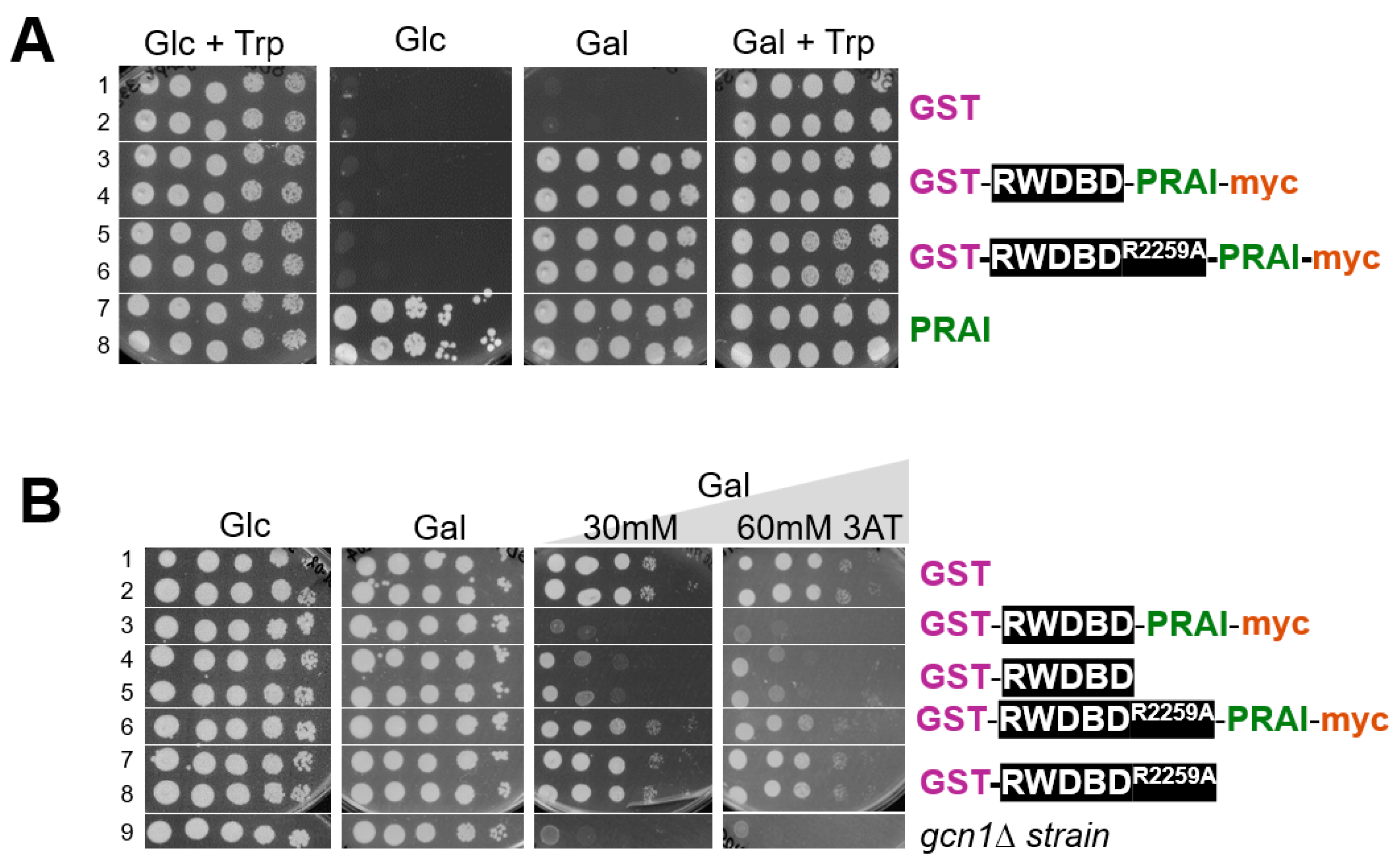 Biomolecules 15 00412 g002