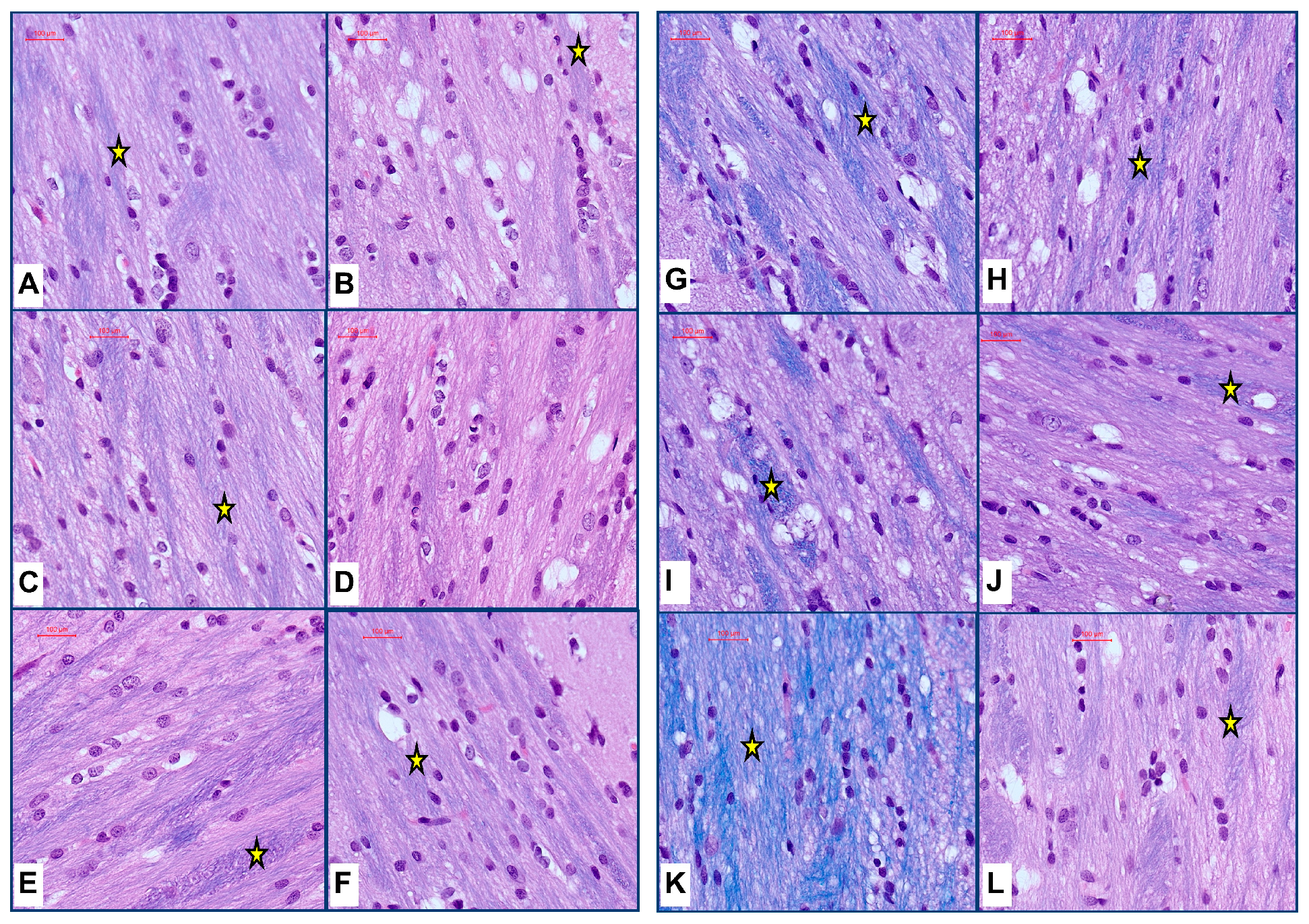 Biomolecules 15 00413 g002