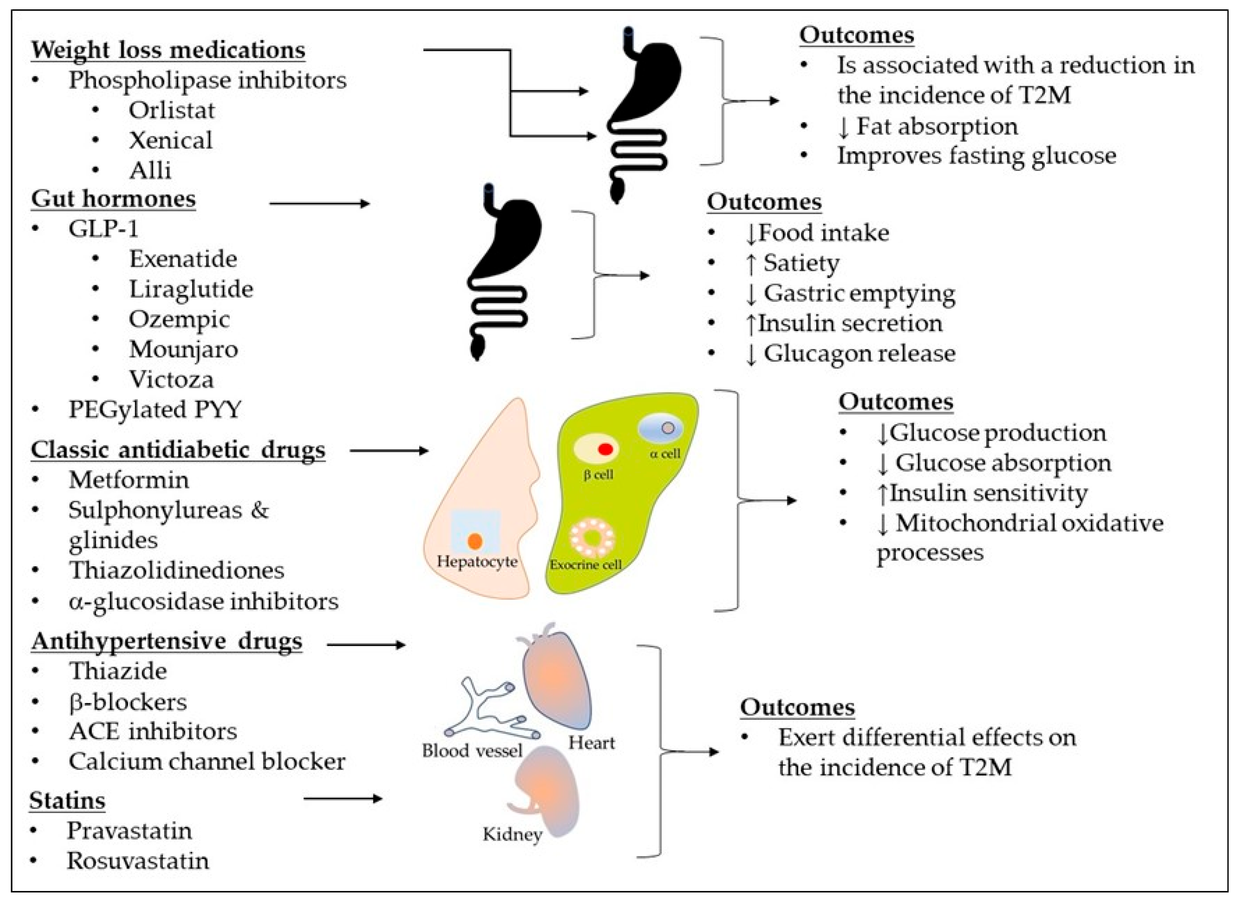 Biomolecules 15 00414 g002