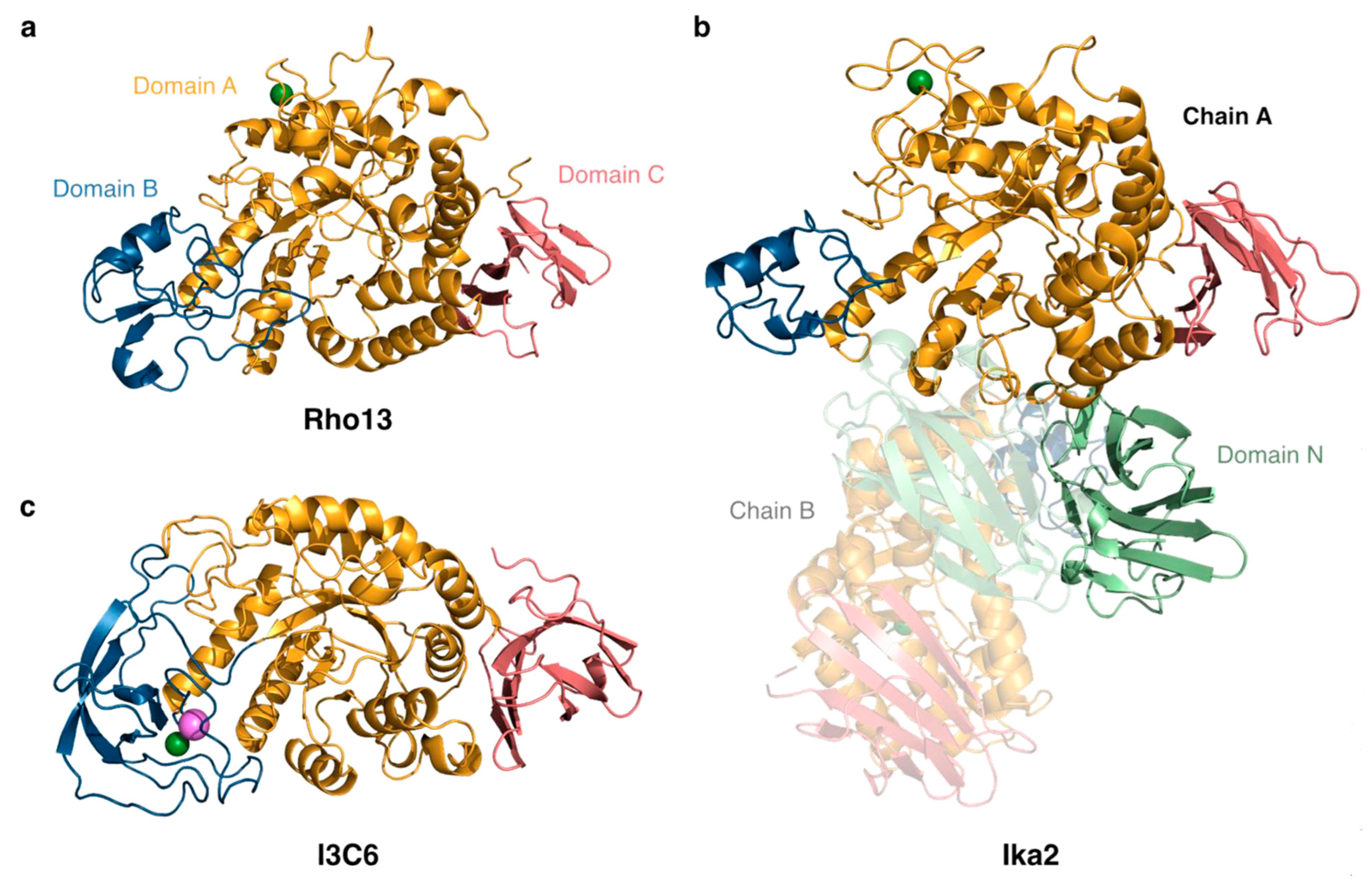 Biomolecules 15 00415 g001