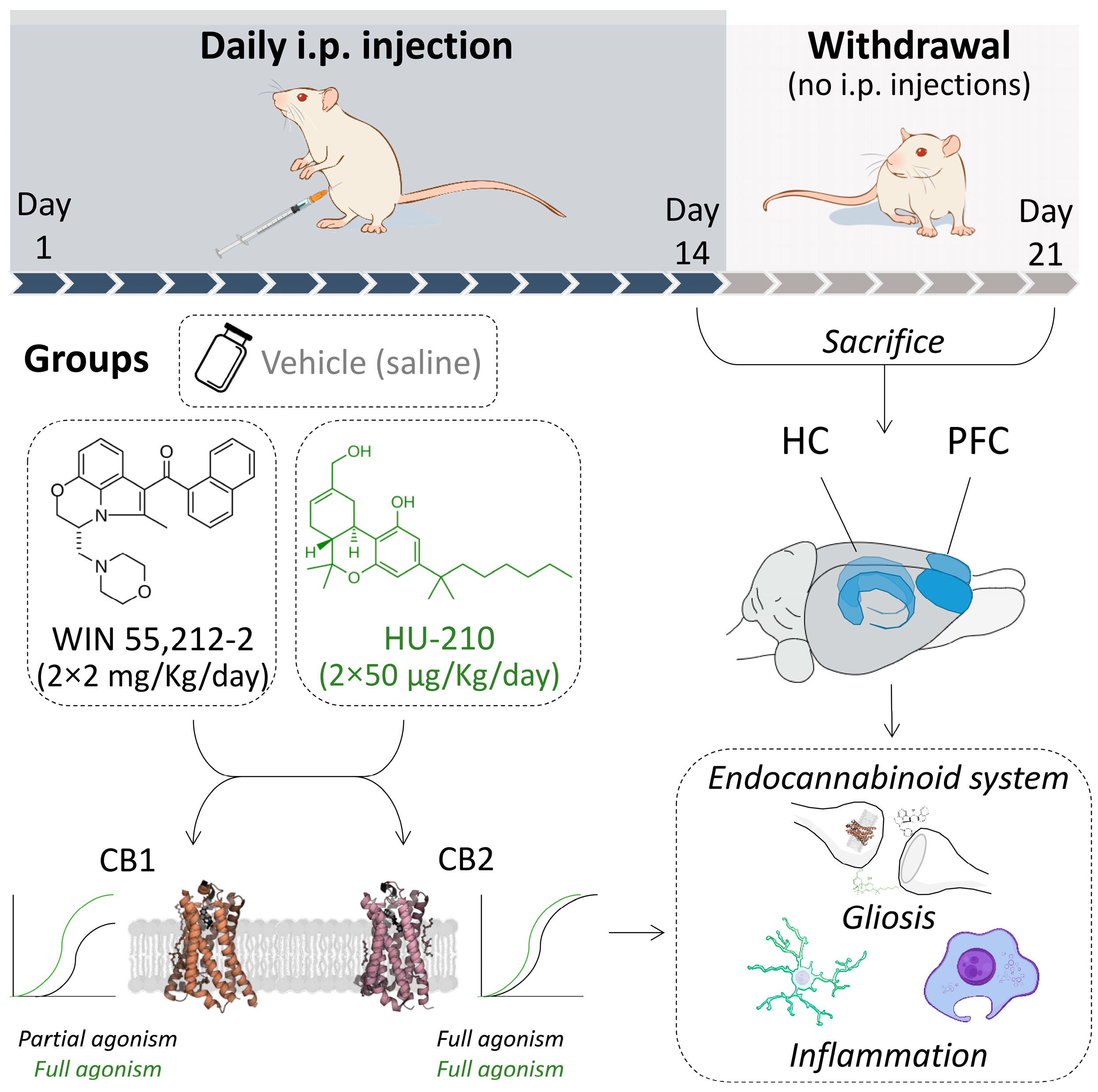 Biomolecules 15 00417 g001