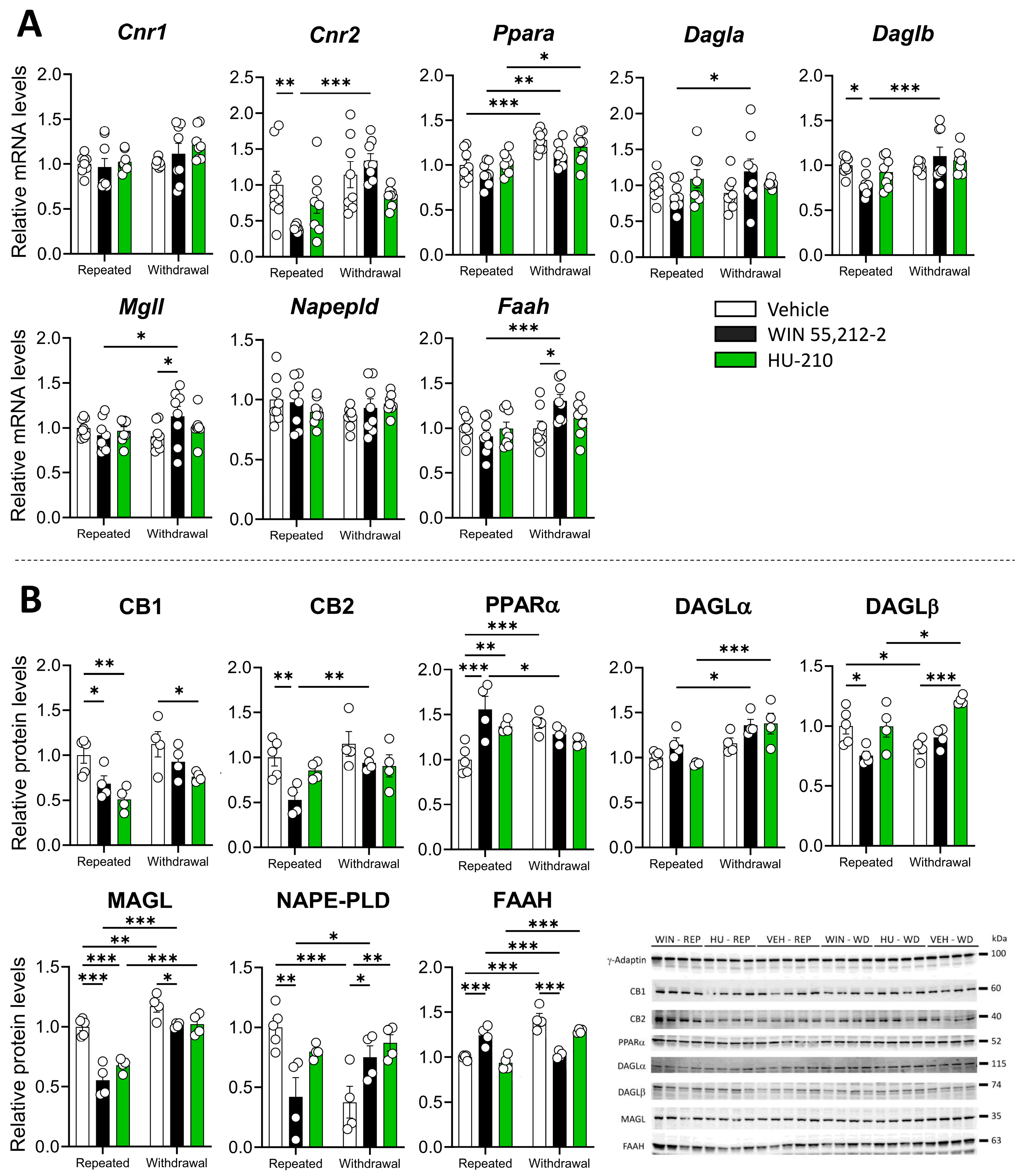 Biomolecules 15 00417 g002