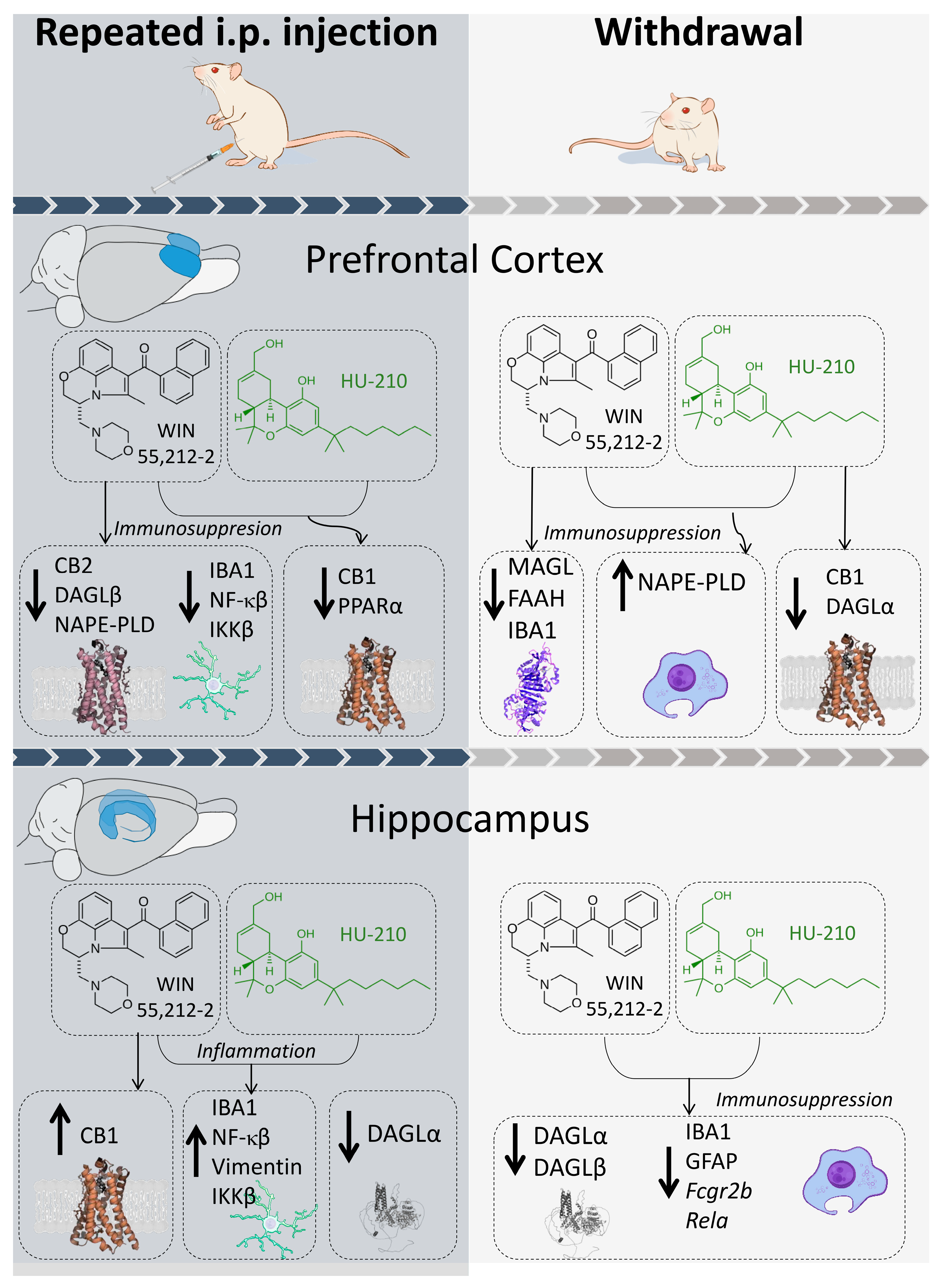 Biomolecules 15 00417 g007