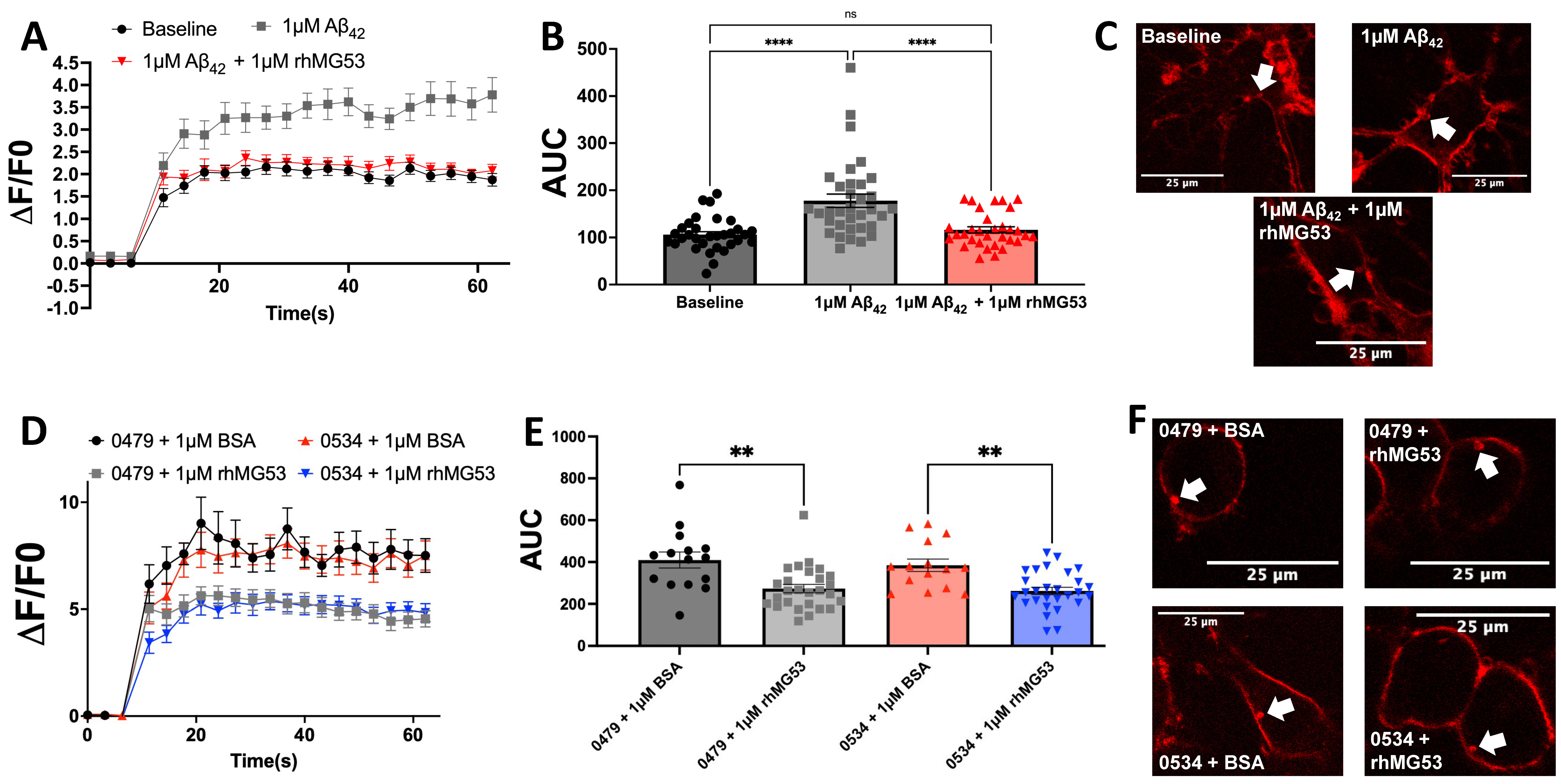 Biomolecules 15 00418 g002