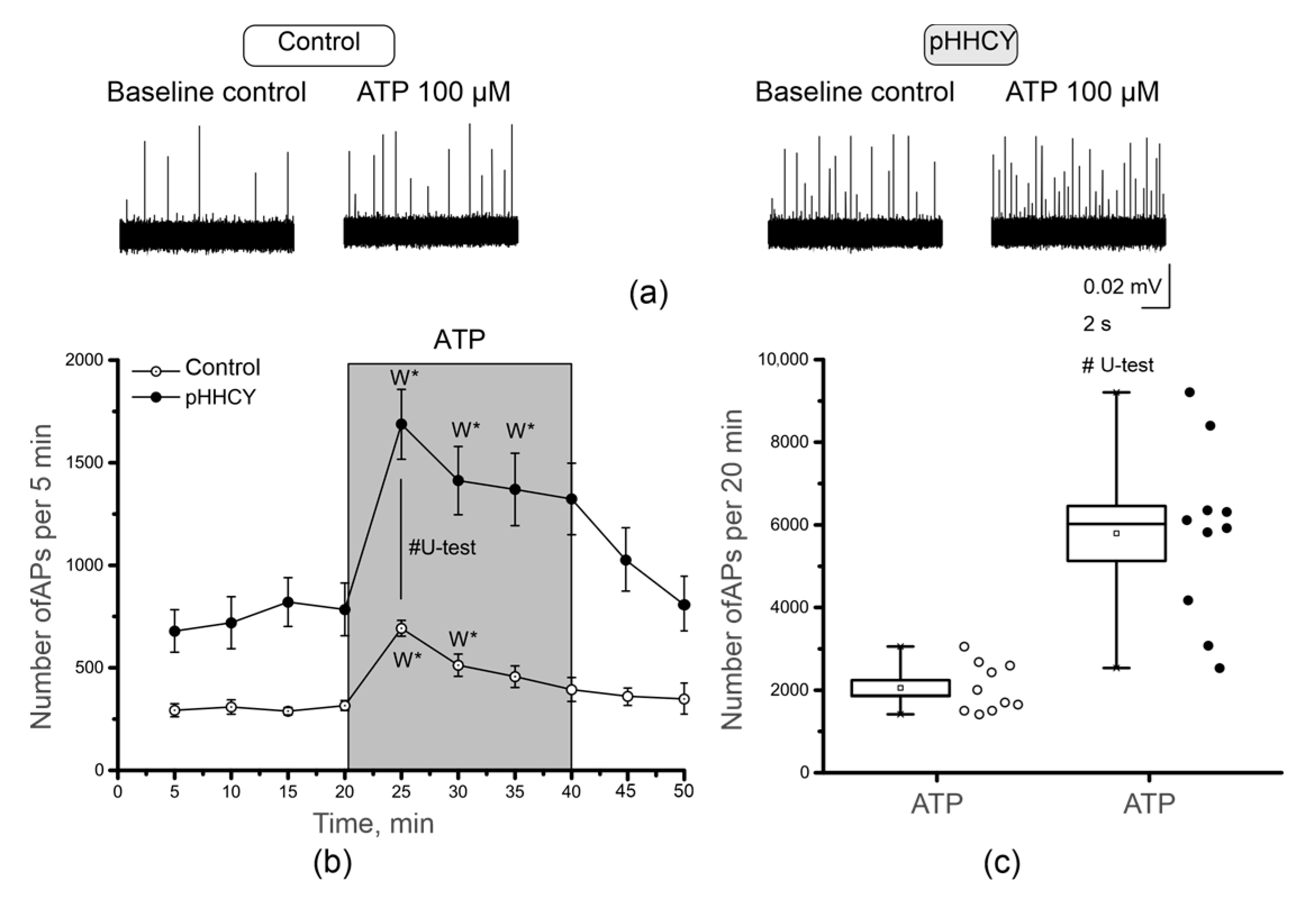 Biomolecules 15 00419 g002