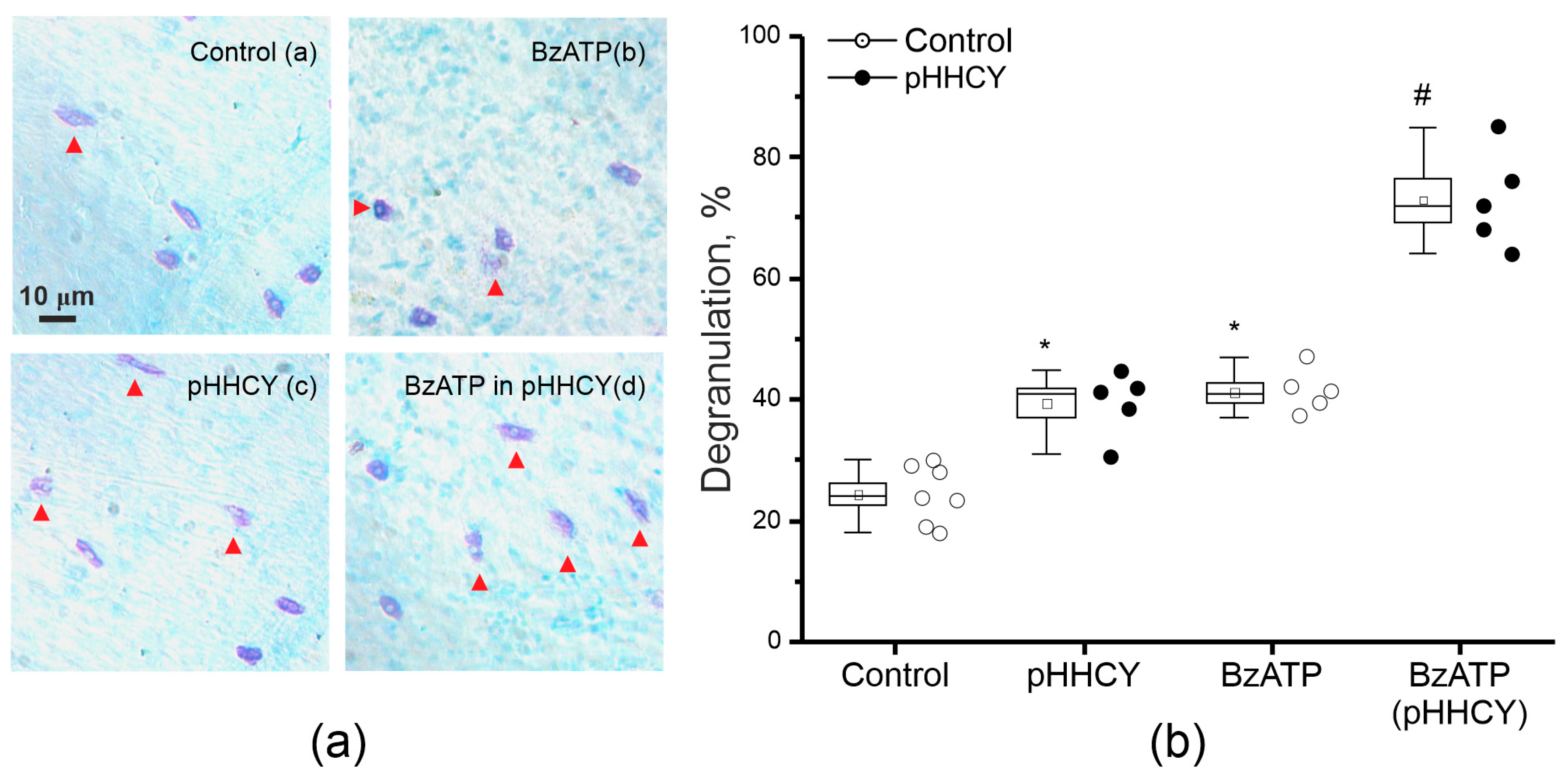 Biomolecules 15 00419 g006