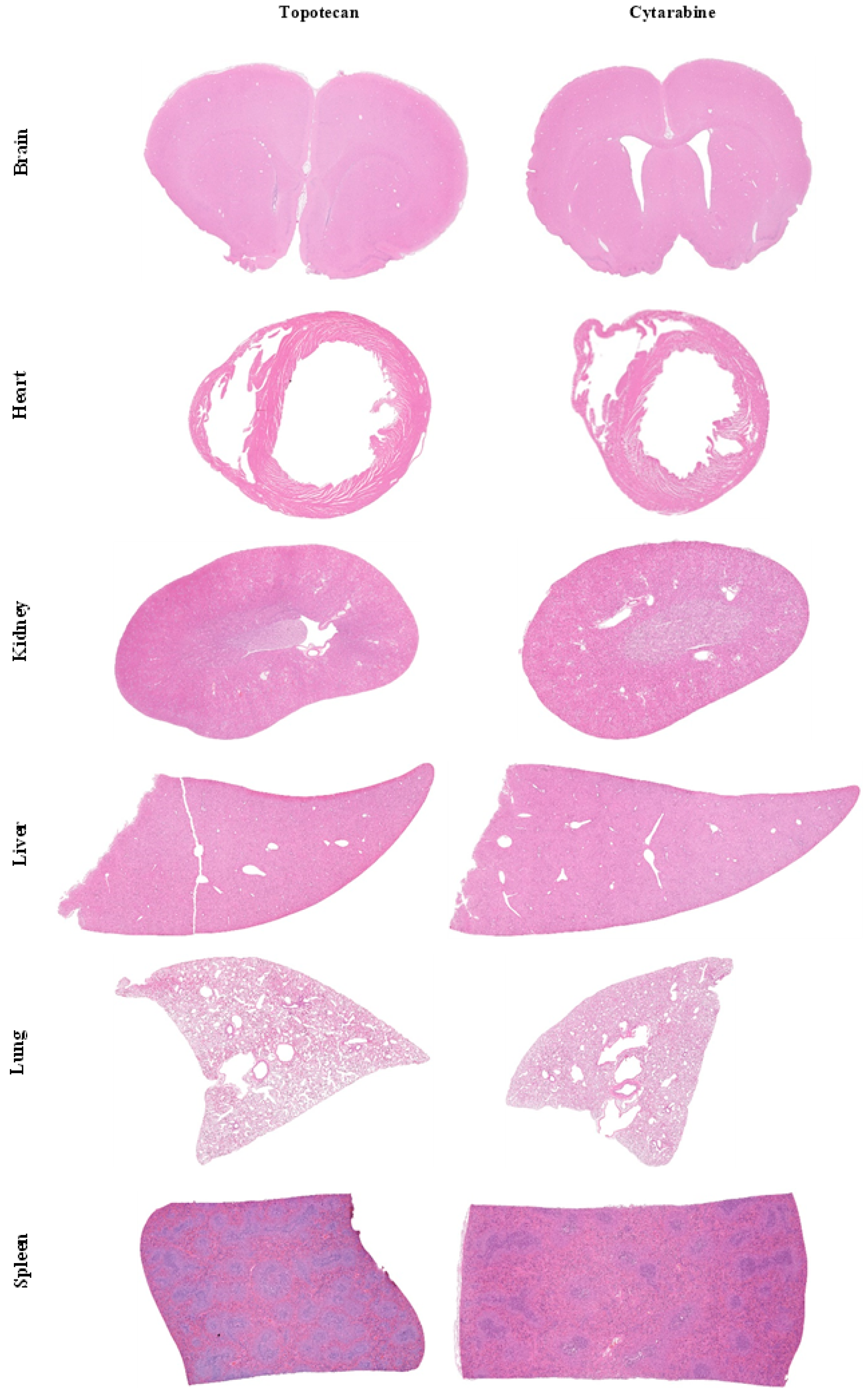 Biomolecules 15 00421 g003