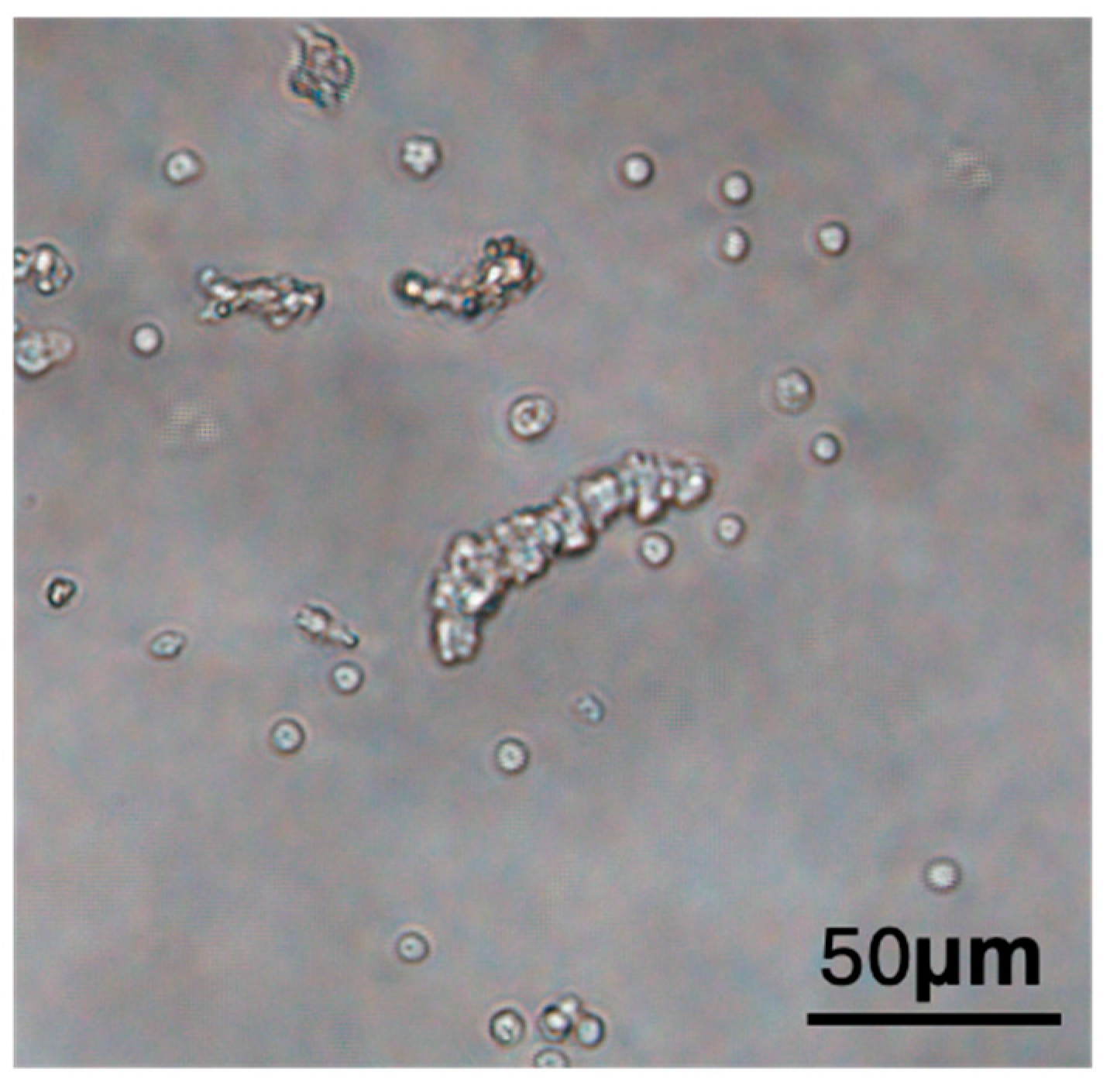 Biomolecules 15 00422 g003