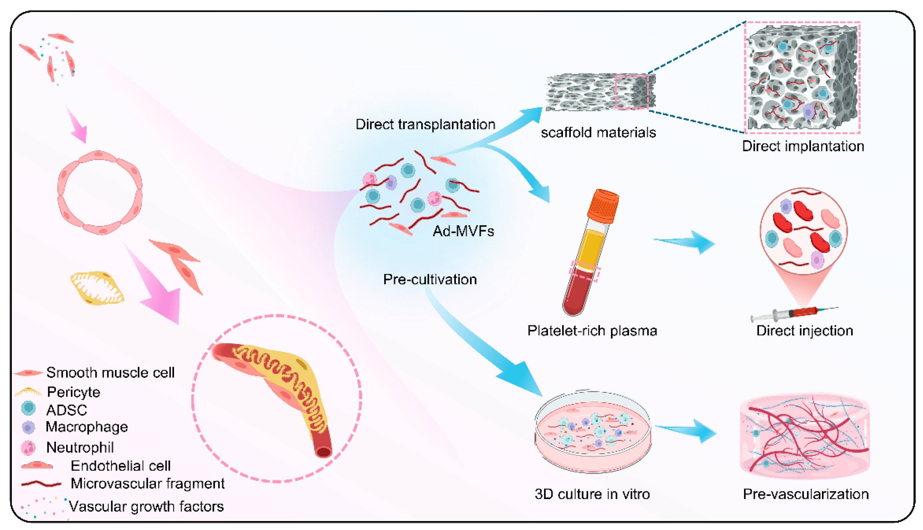 Biomolecules 15 00422 g004