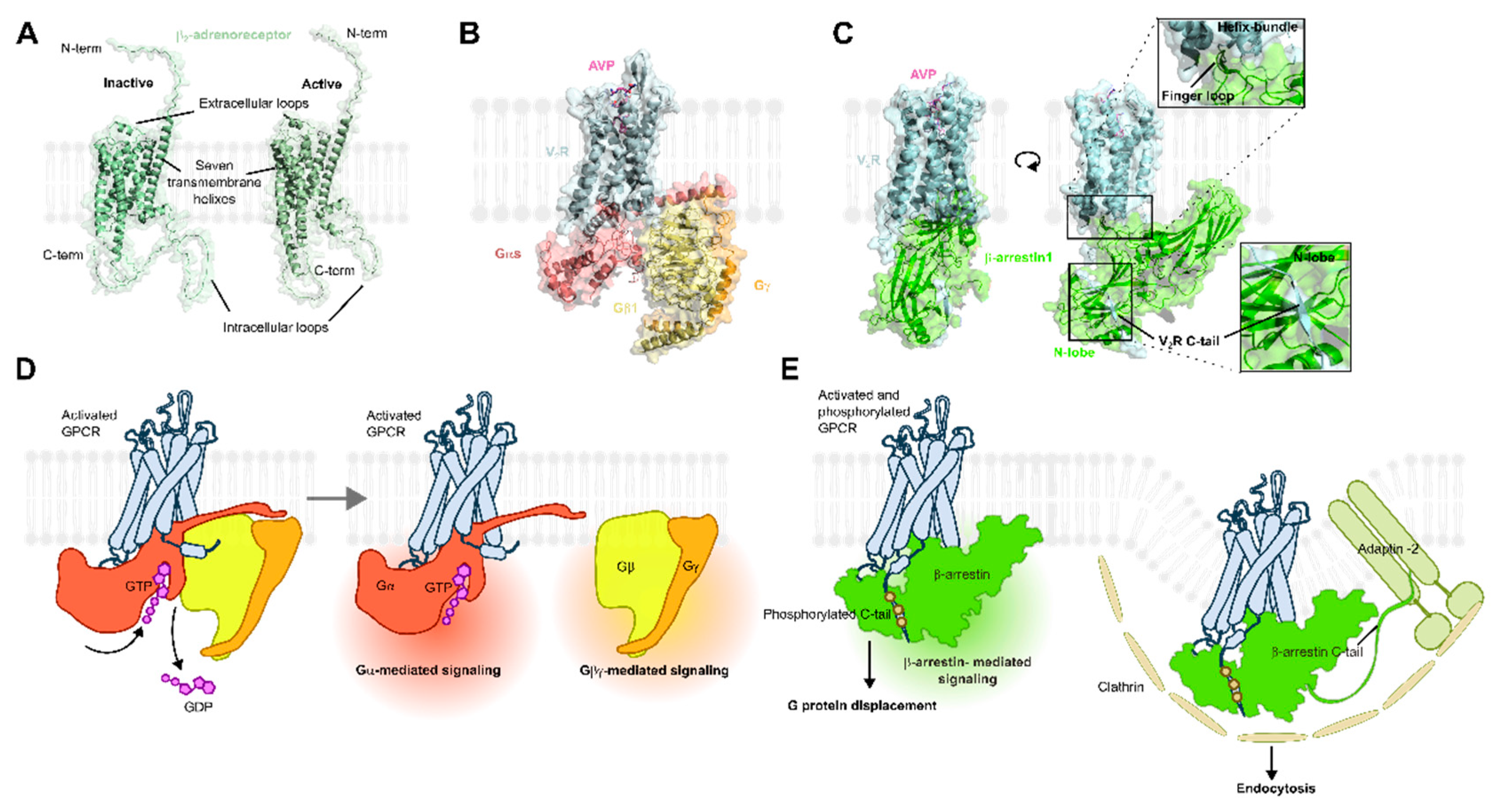 Biomolecules 15 00423 g001