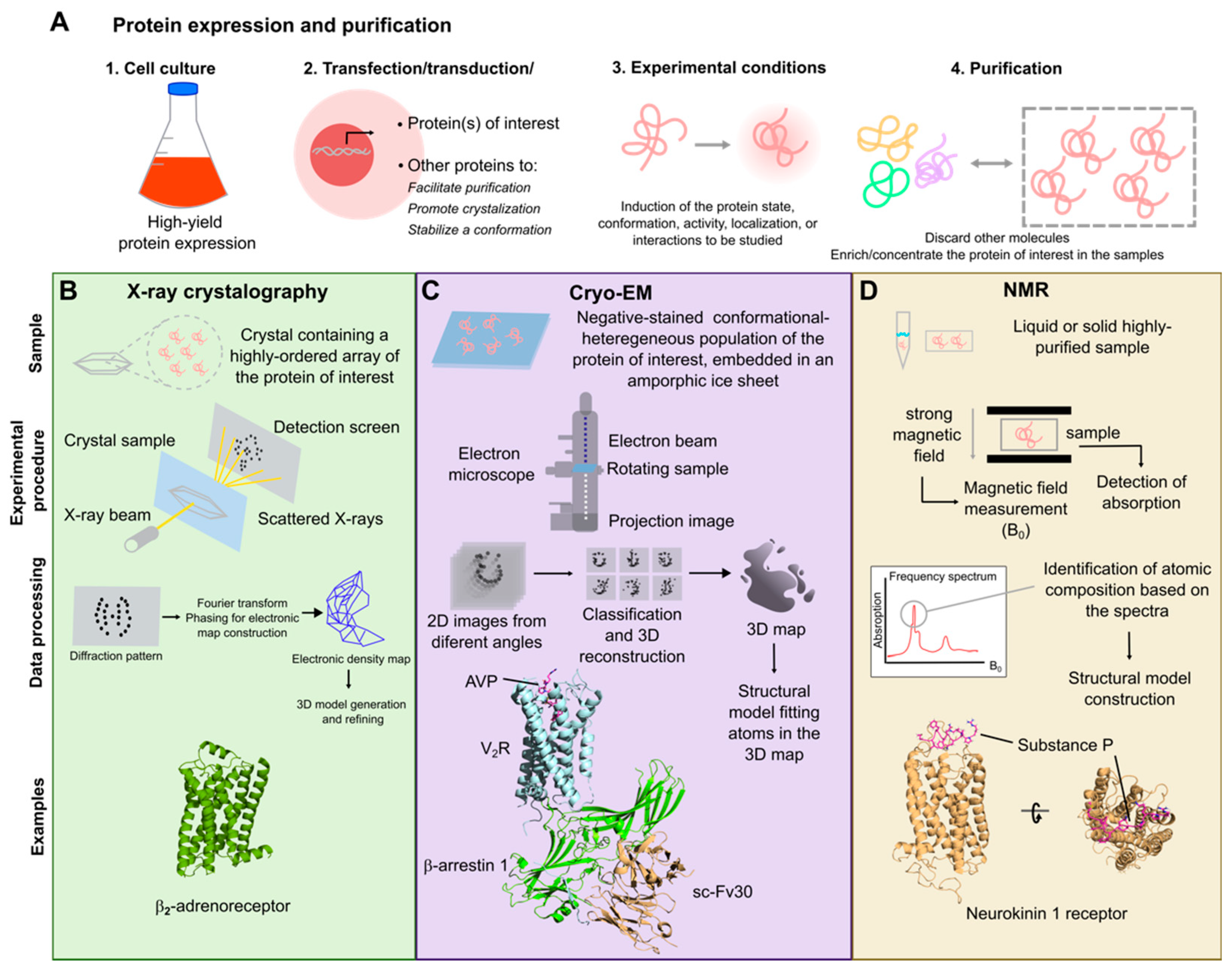 Biomolecules 15 00423 g002