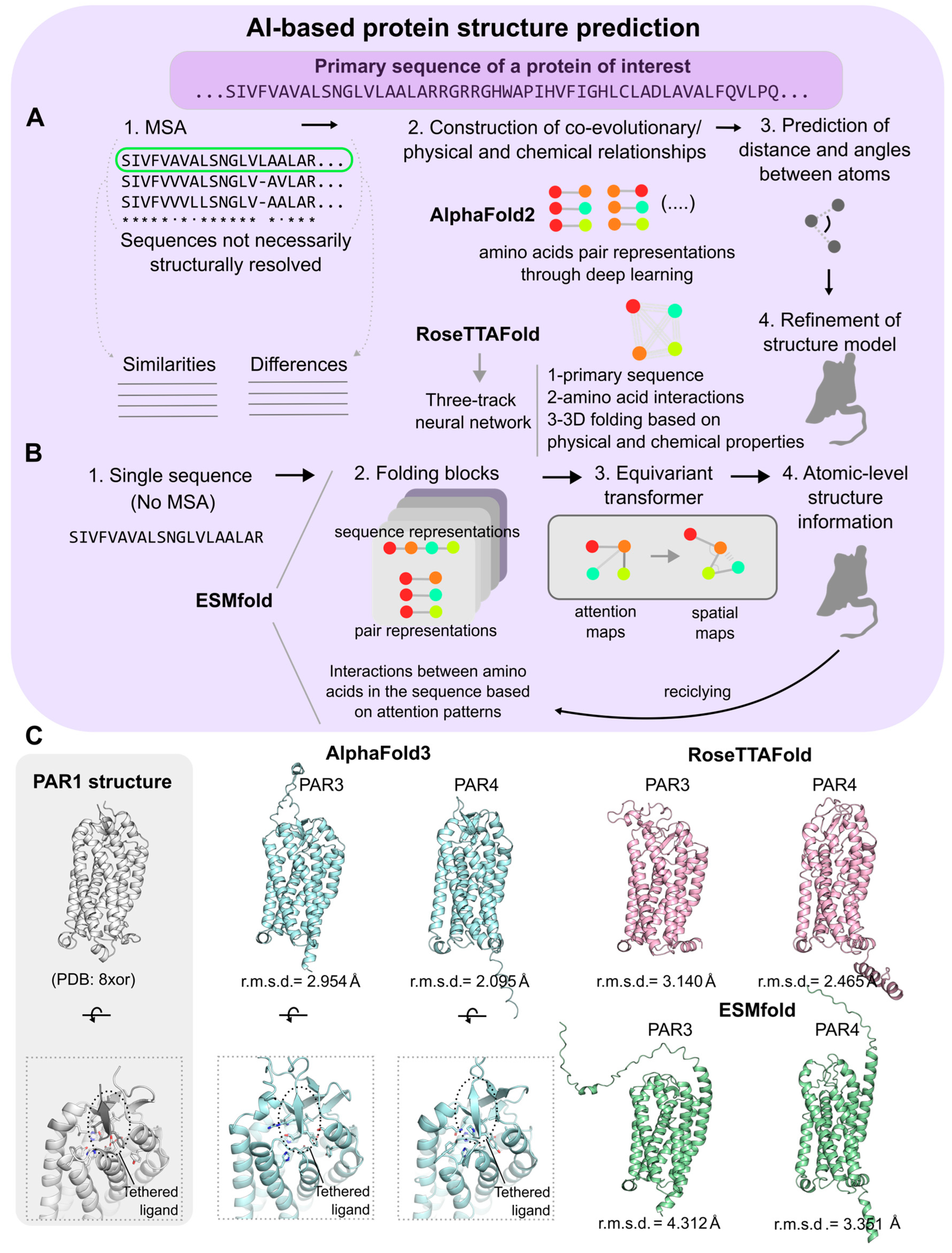 Biomolecules 15 00423 g004