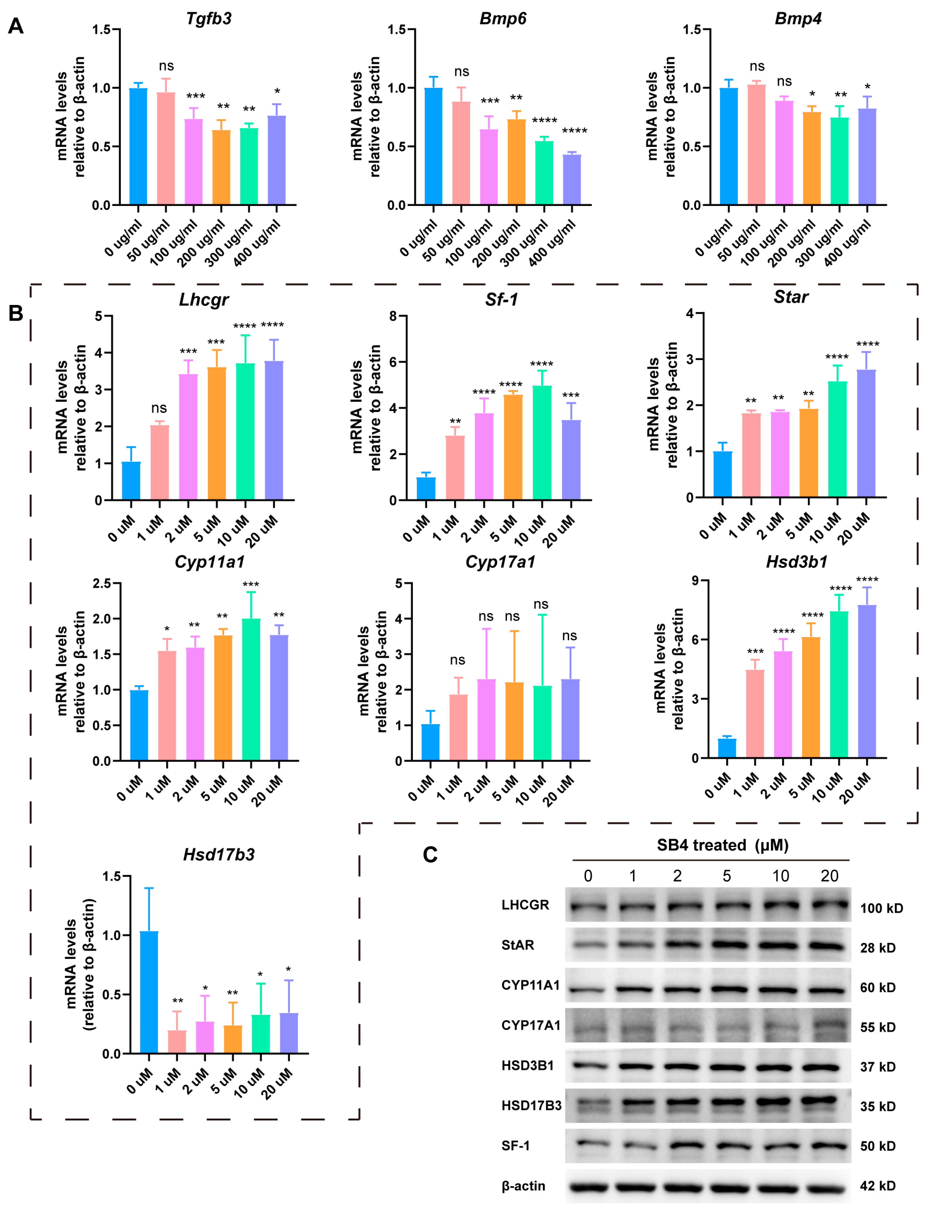 Biomolecules 15 00425 g005
