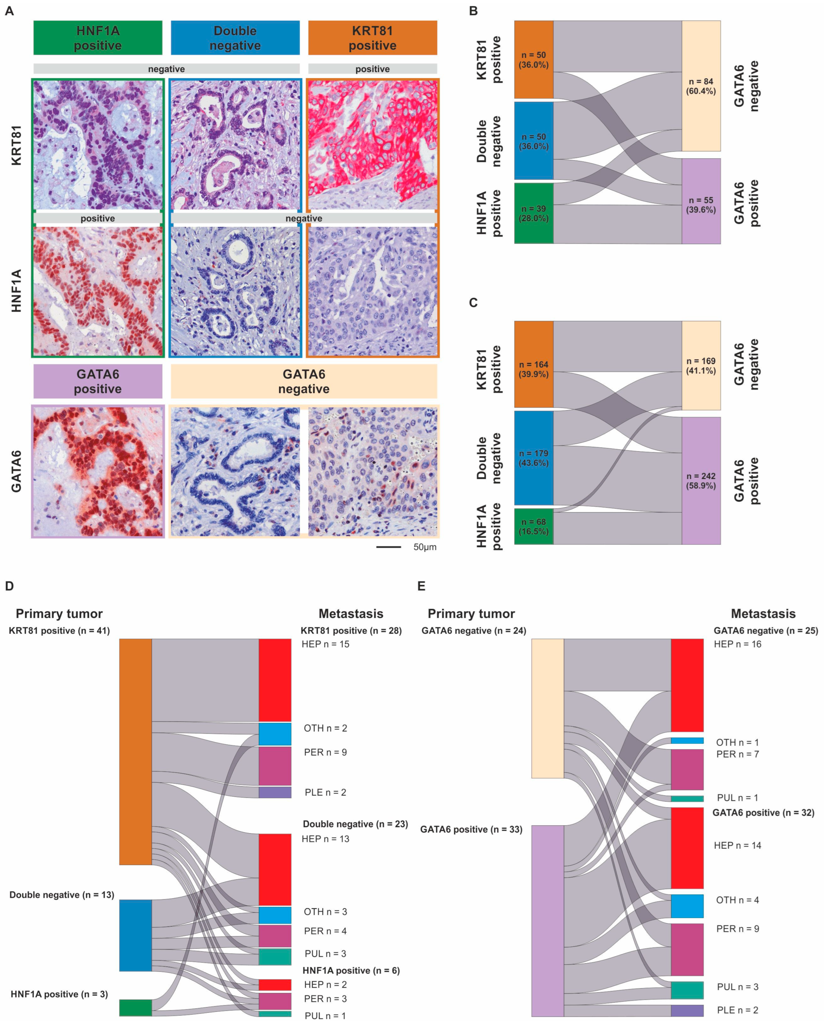 Biomolecules 15 00426 g001