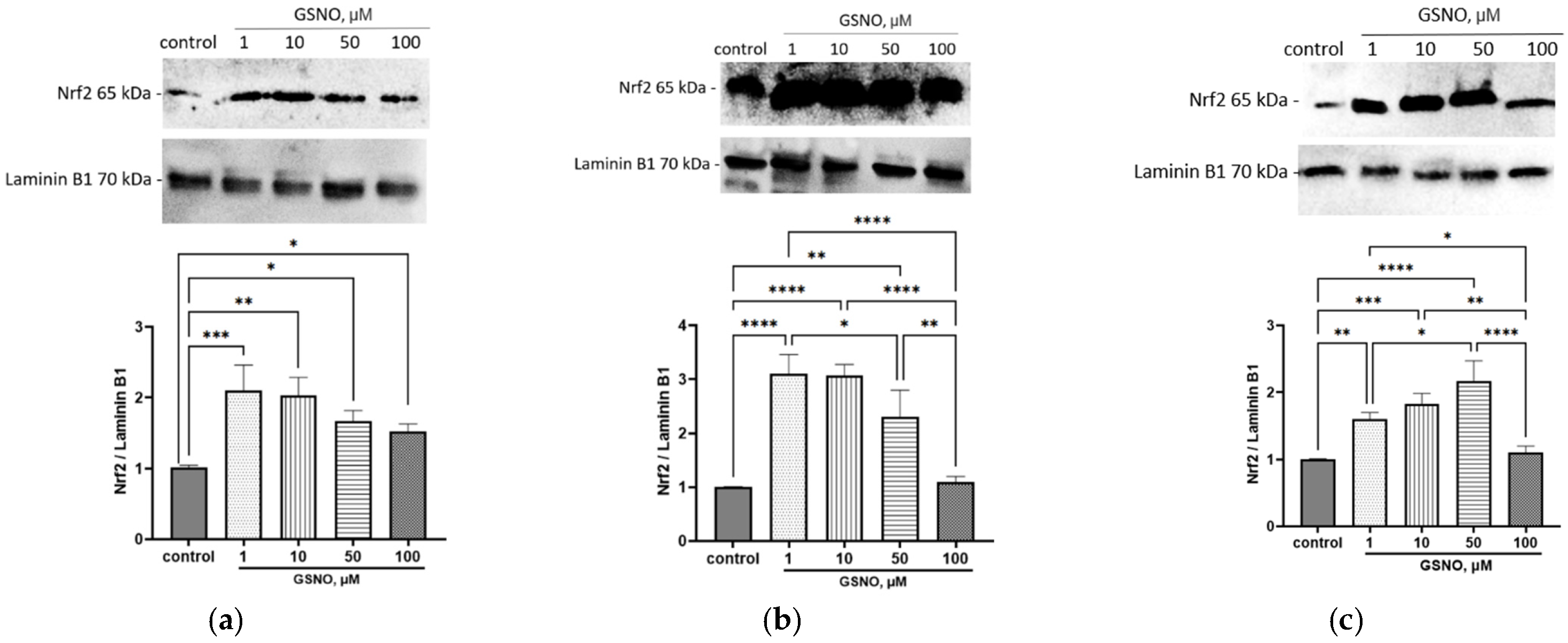 Biomolecules 15 00428 g006
