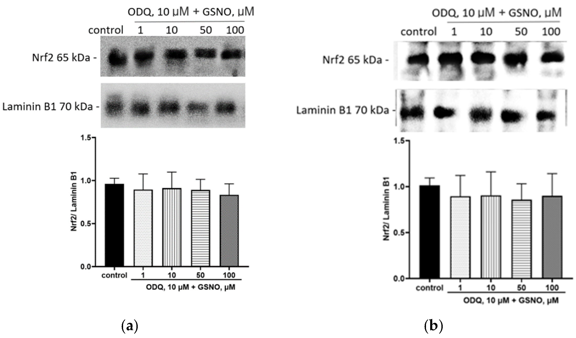 Biomolecules 15 00428 g007
