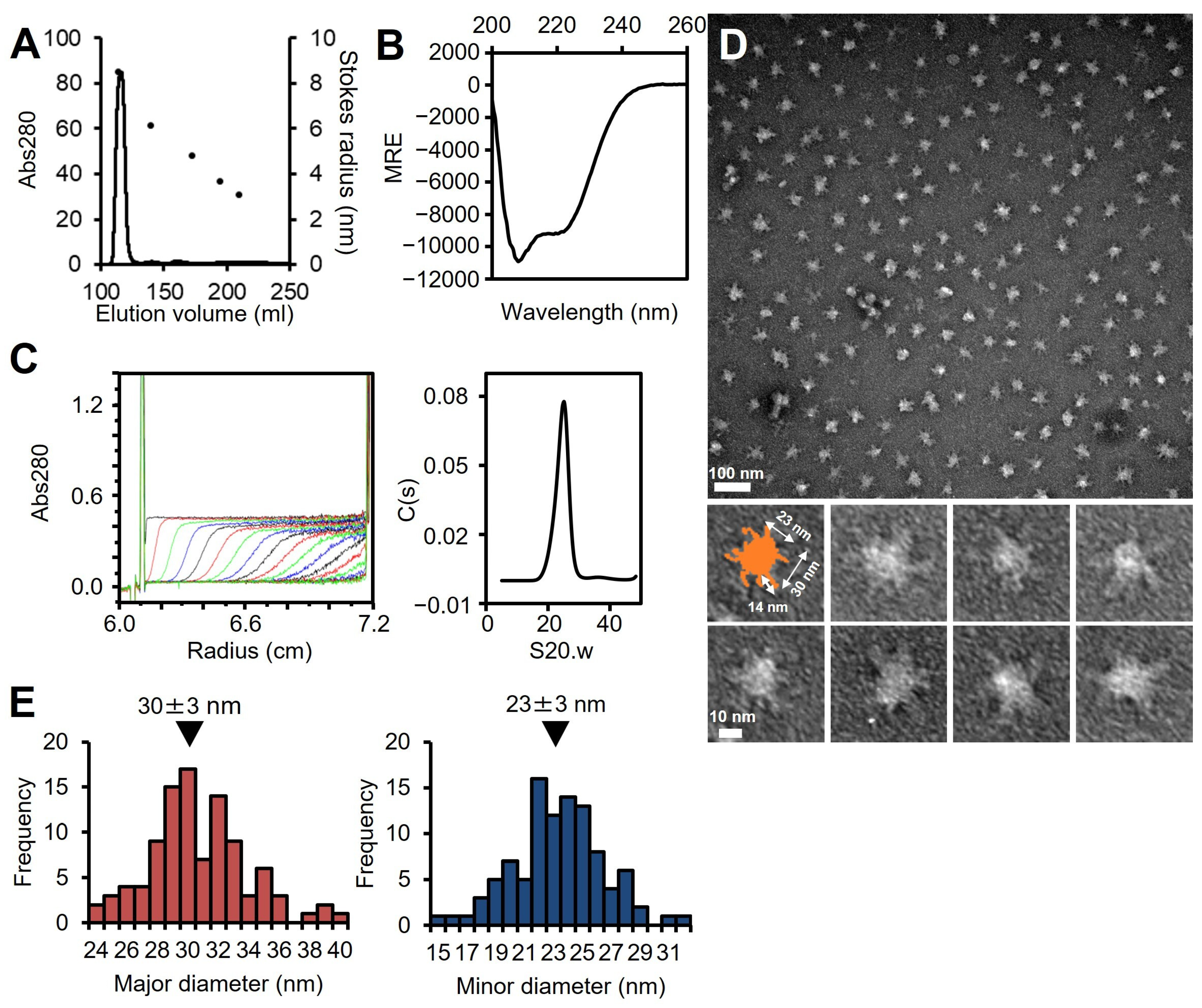 Biomolecules 15 00429 g002