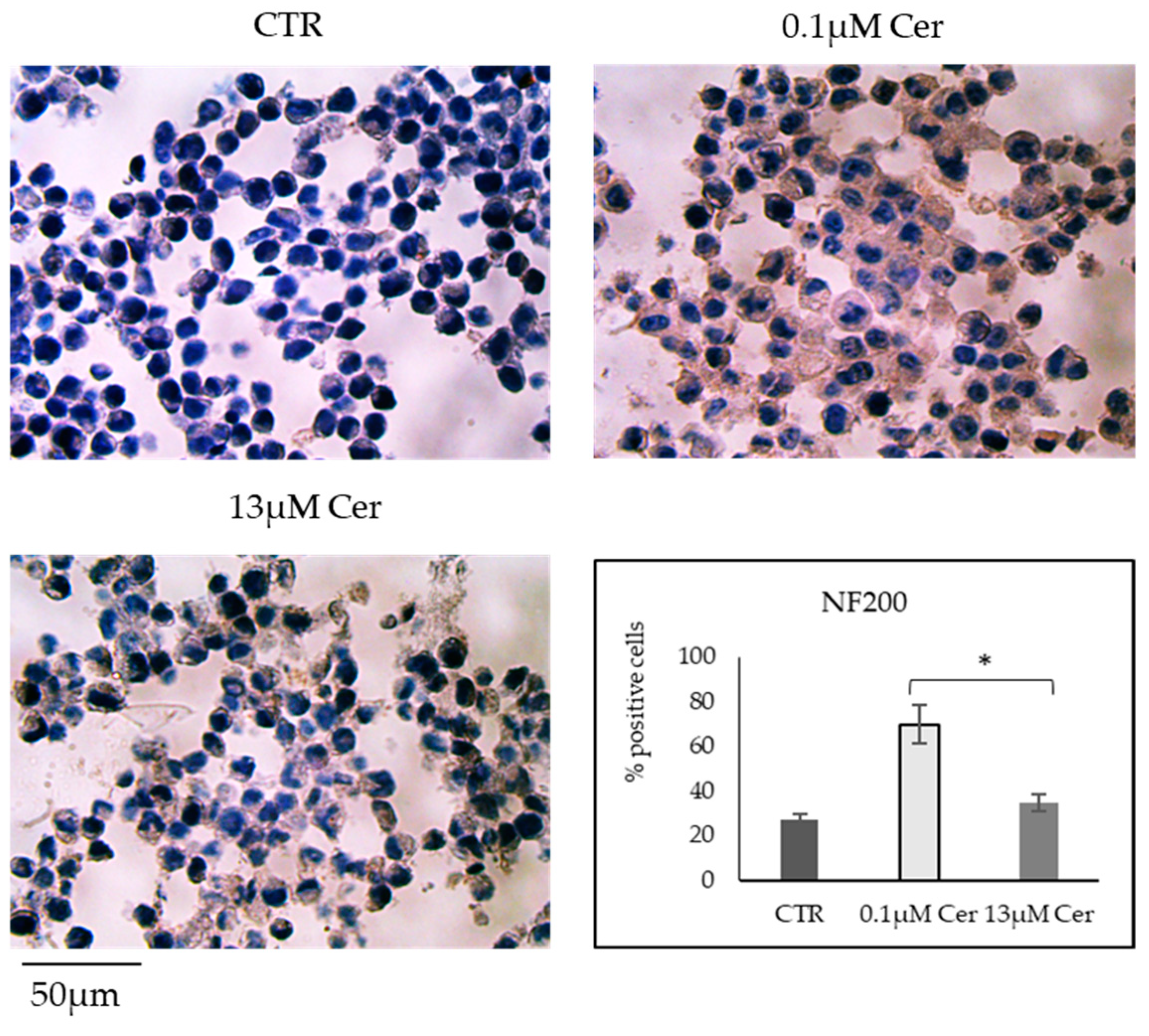 Biomolecules 15 00430 g005