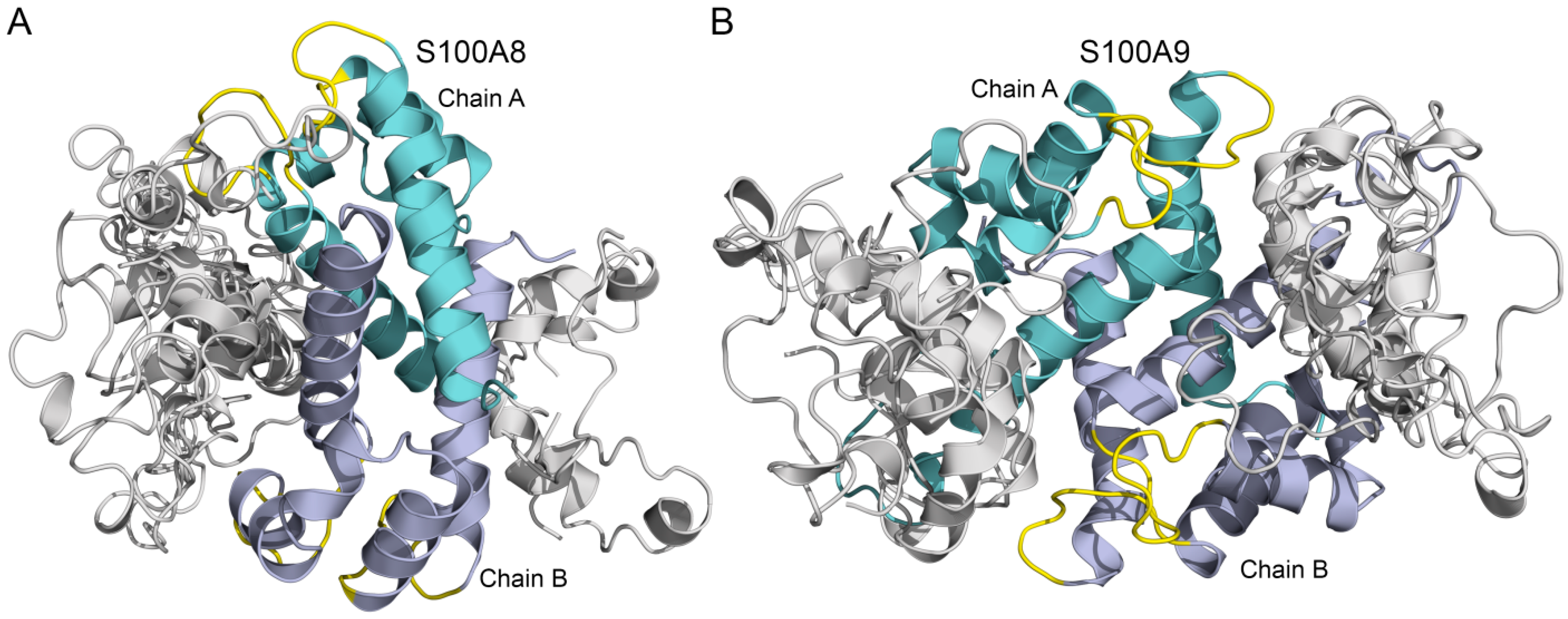 Biomolecules 15 00431 g002