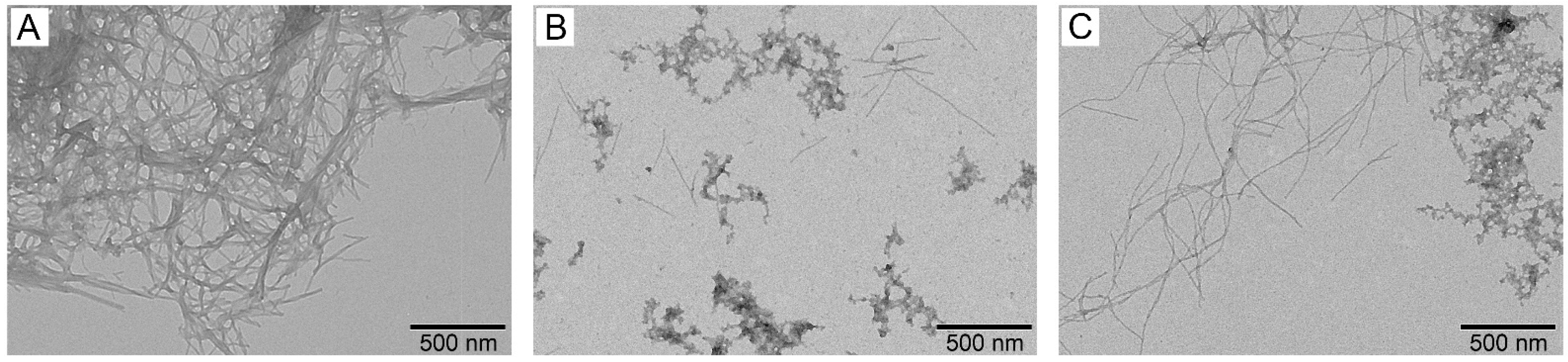 Biomolecules 15 00431 g005