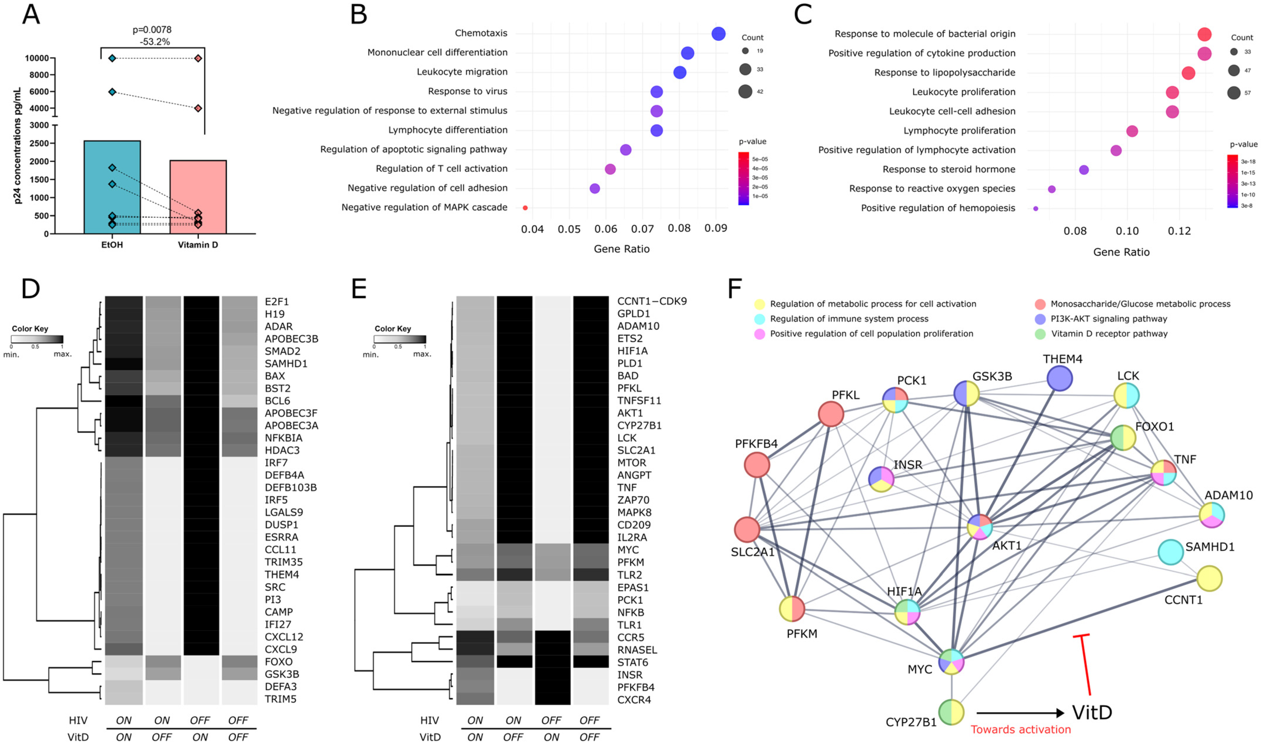 Biomolecules 15 00432 g001