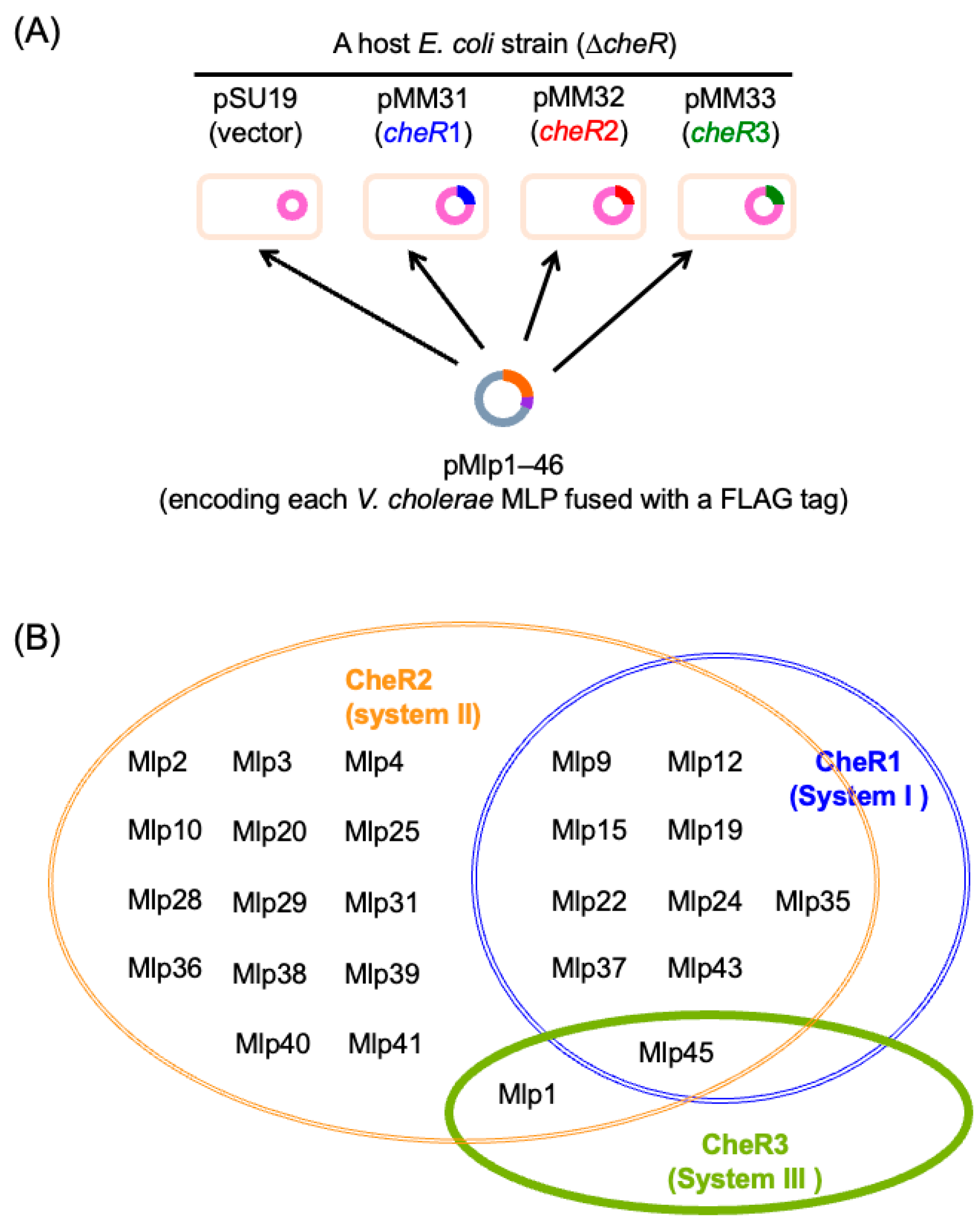 Biomolecules 15 00434 g008