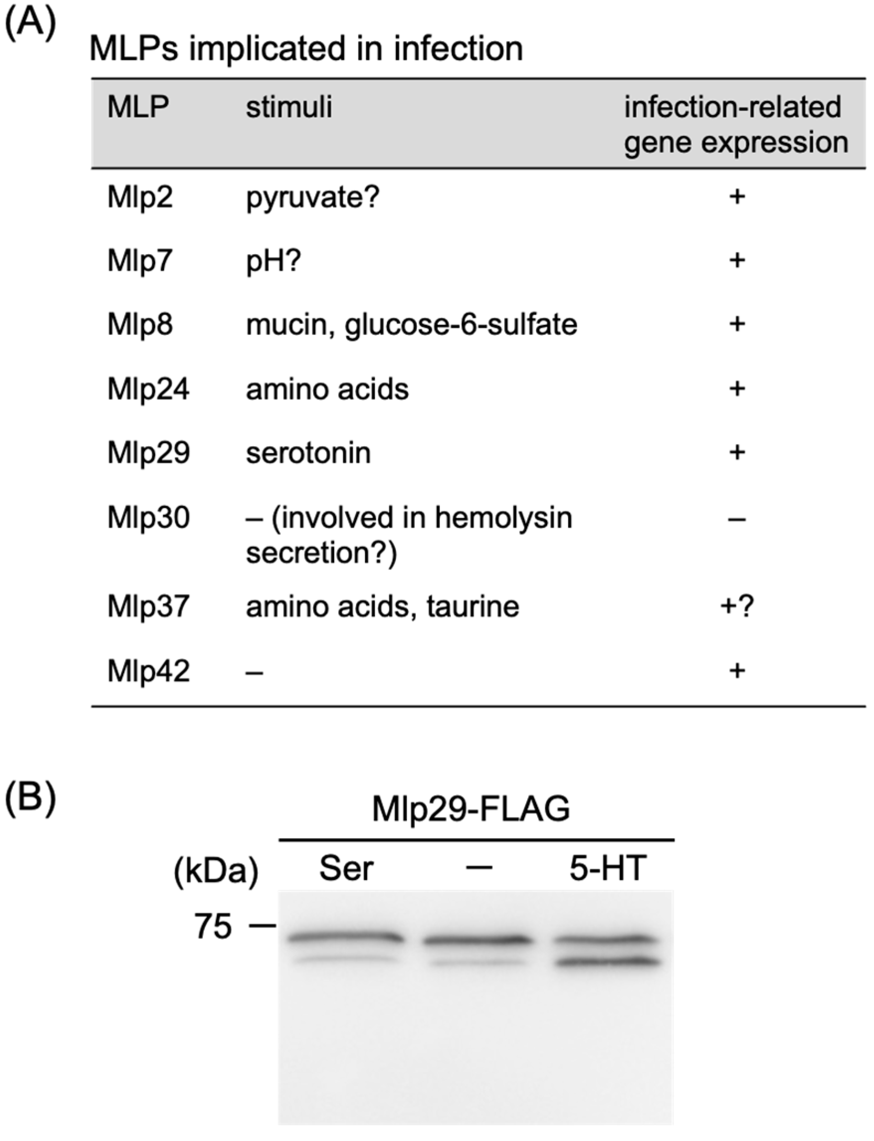 Biomolecules 15 00434 g009