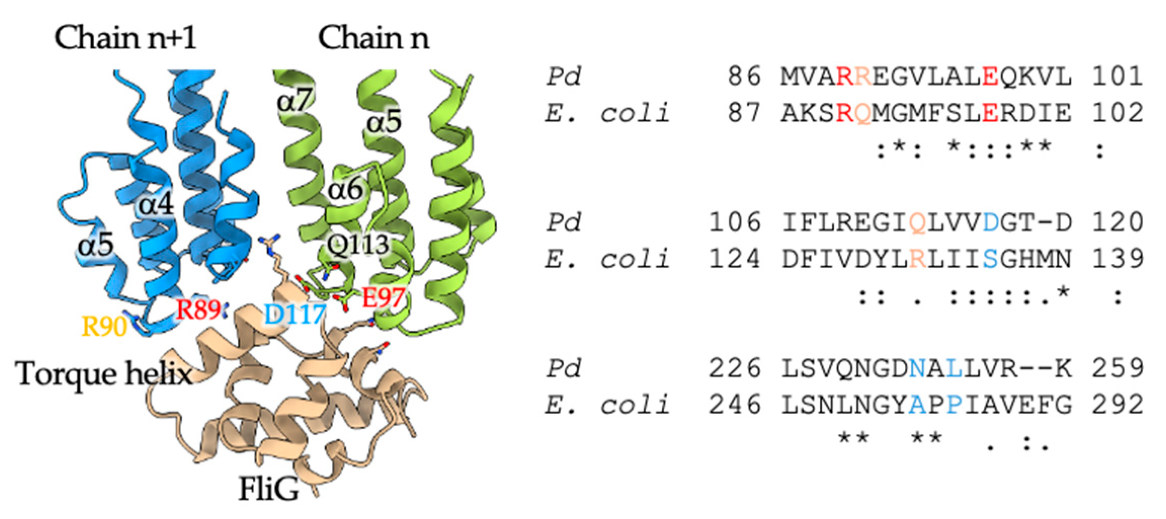 Biomolecules 15 00435 g002