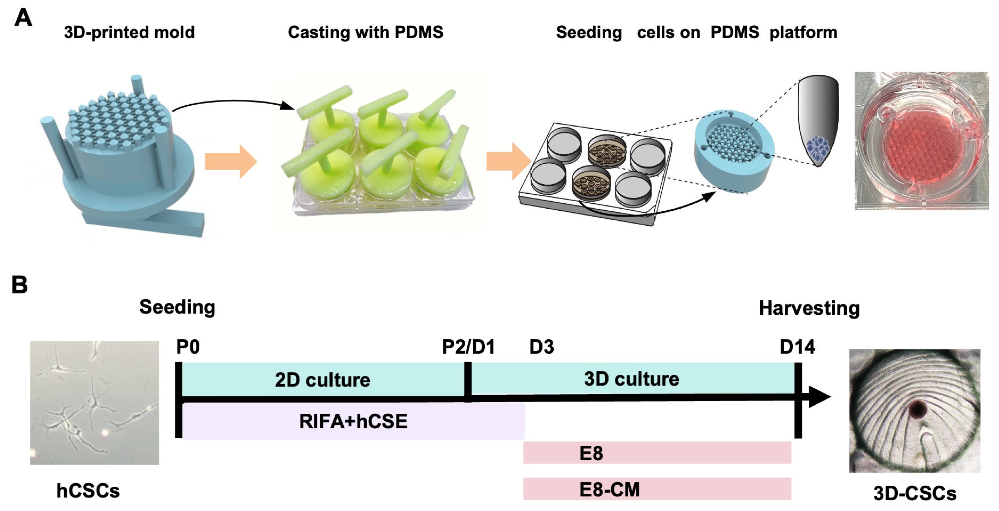Biomolecules 15 00438 g001