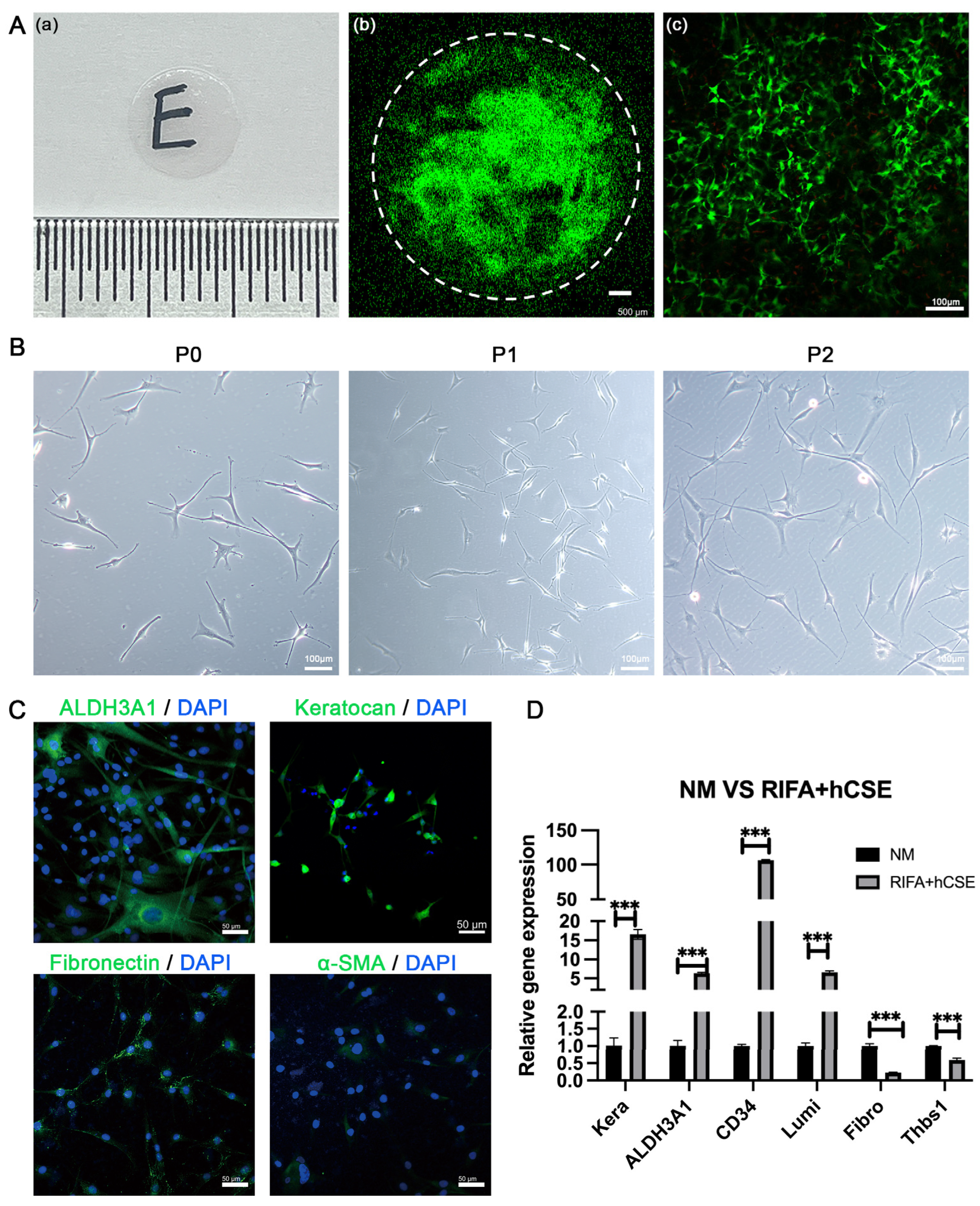 Biomolecules 15 00438 g002