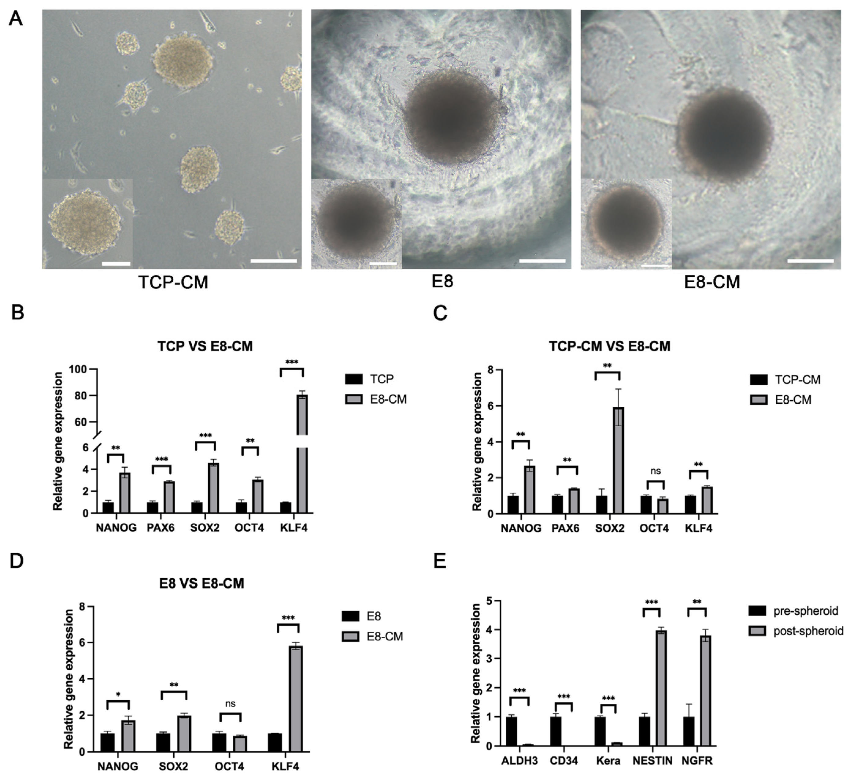 Biomolecules 15 00438 g003