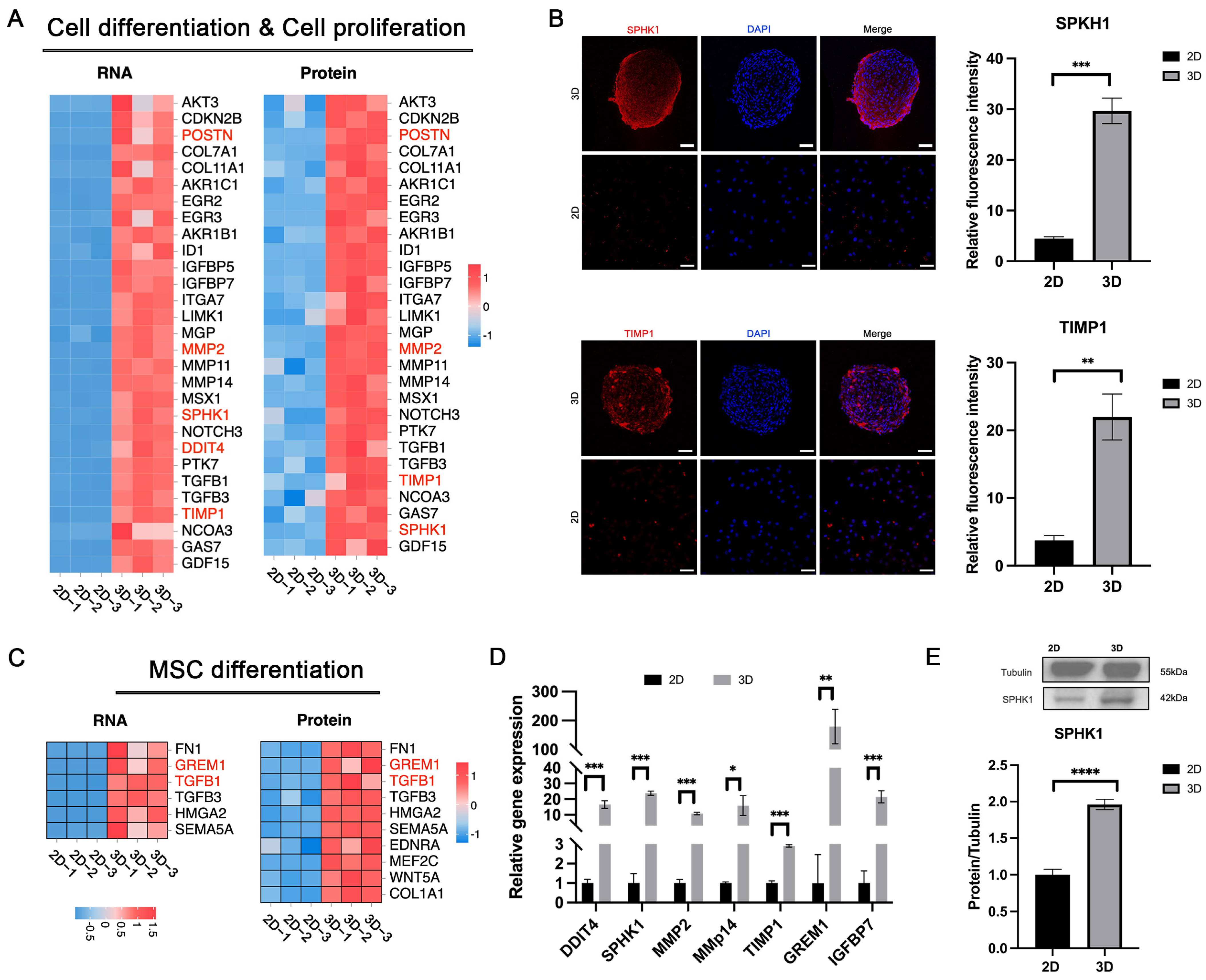 Biomolecules 15 00438 g006