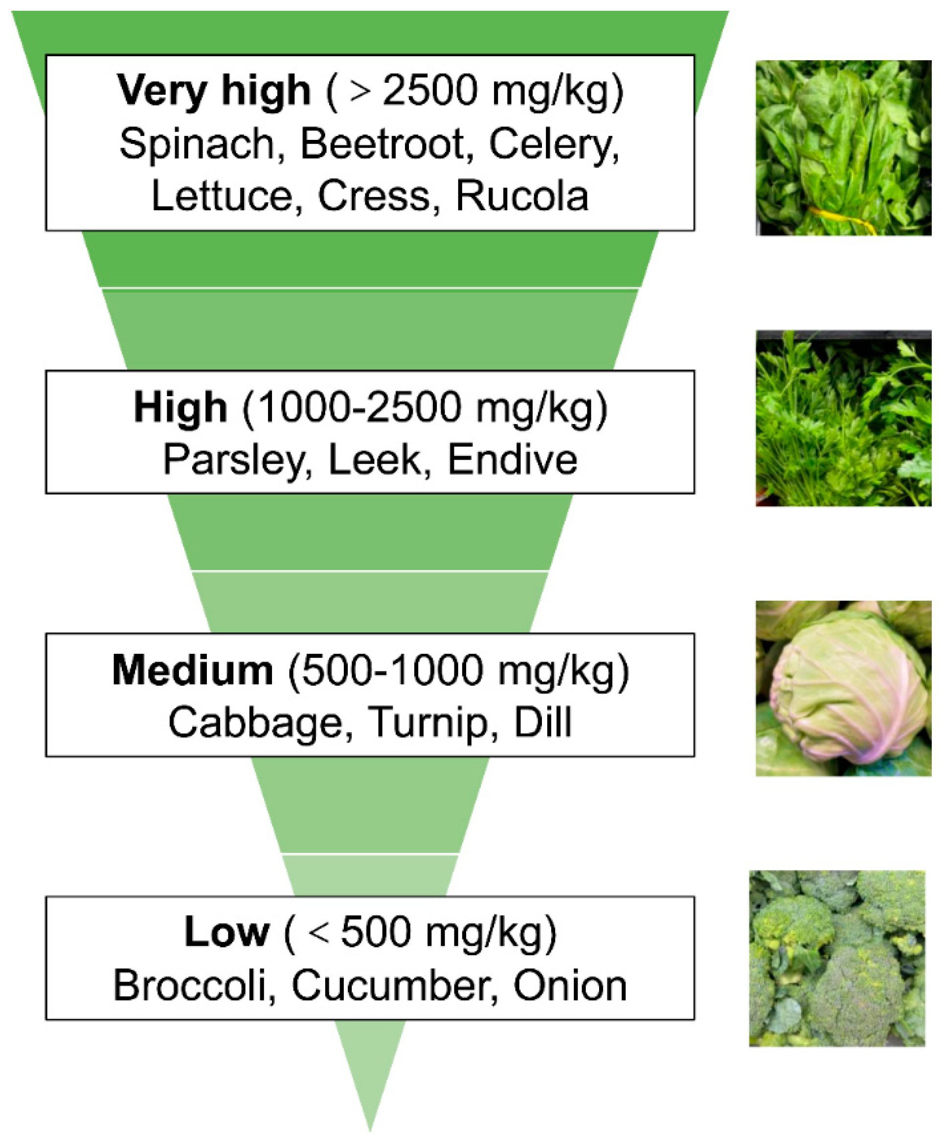 Biomolecules 15 00439 g001