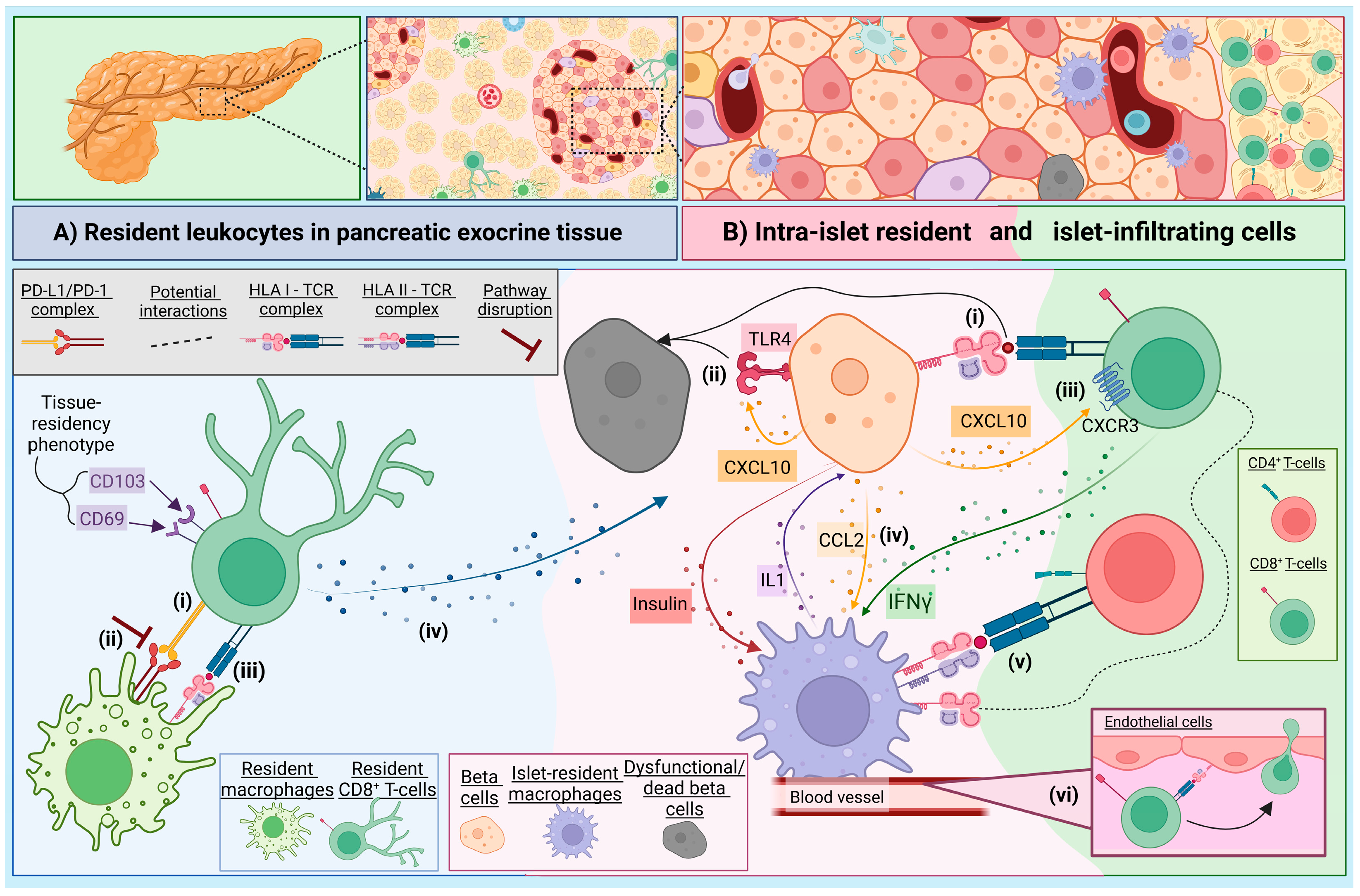 Biomolecules 15 00441 g001