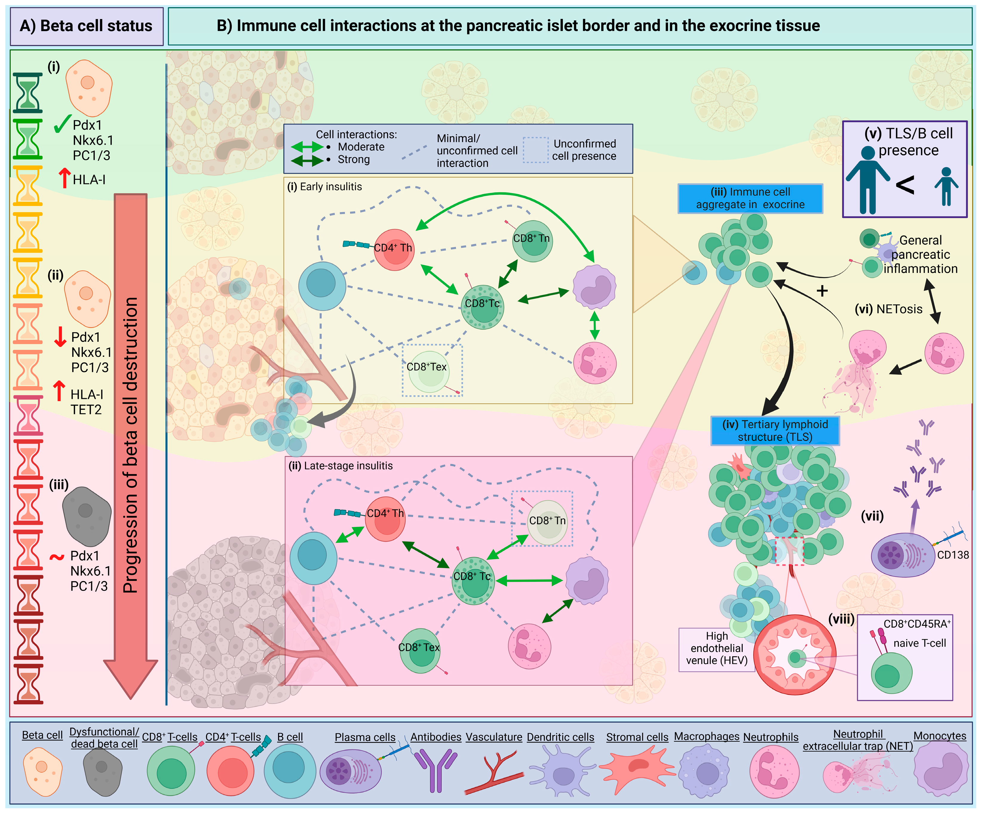 Biomolecules 15 00441 g002