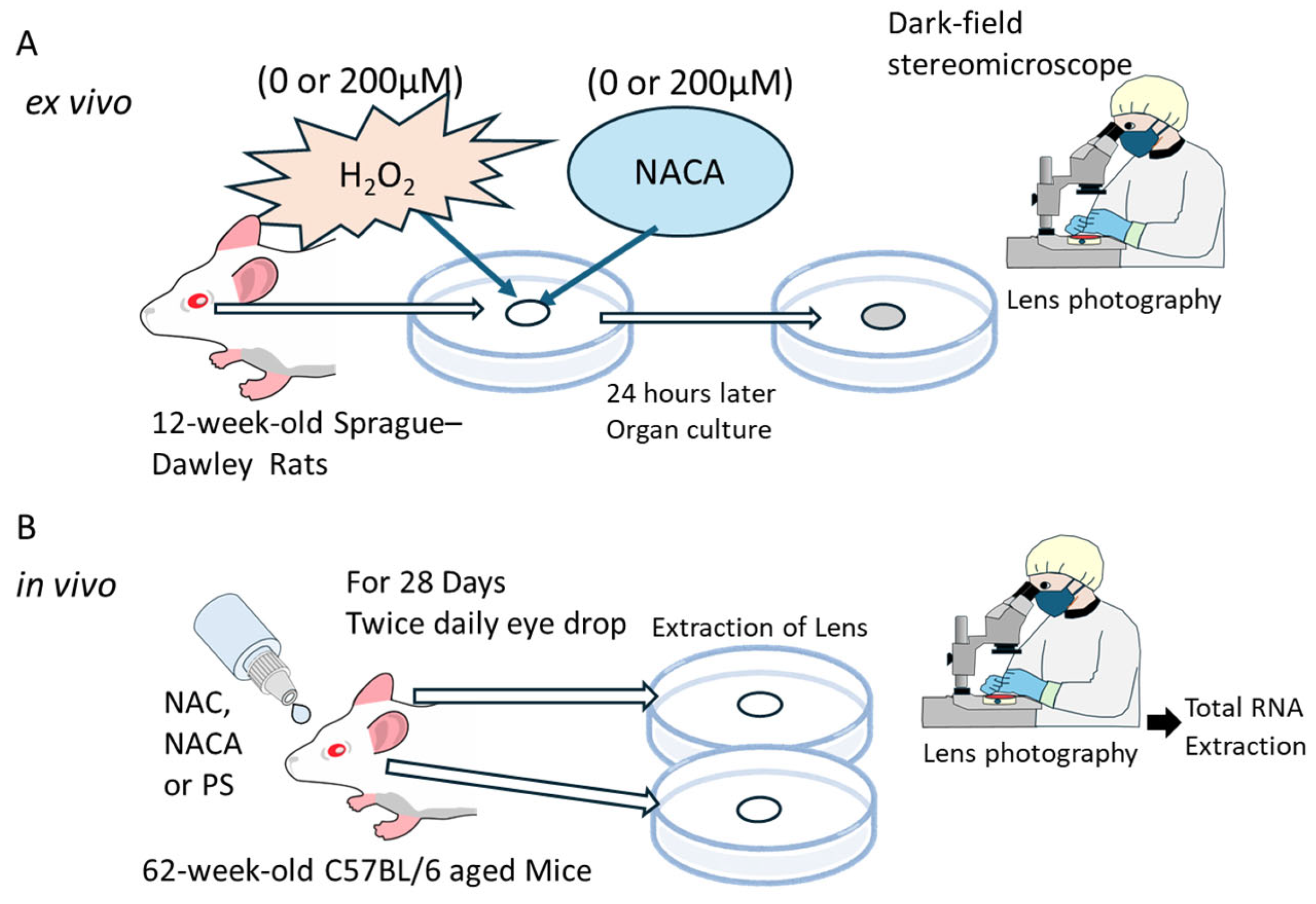 Biomolecules 15 00442 g001